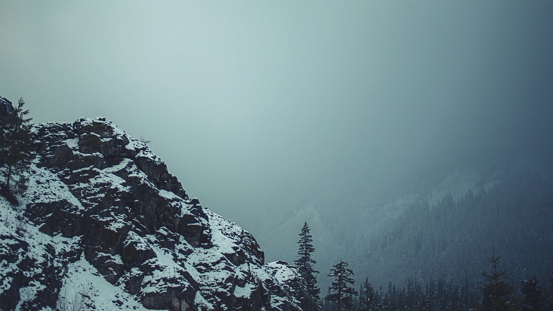 cold temperature, outdoors, woodland, mountains, winter, non-urban scene, plant, beauty in nature, forest, mountain, pine woodland, fog, pinaceae, mountain peak, HD Wallpaper