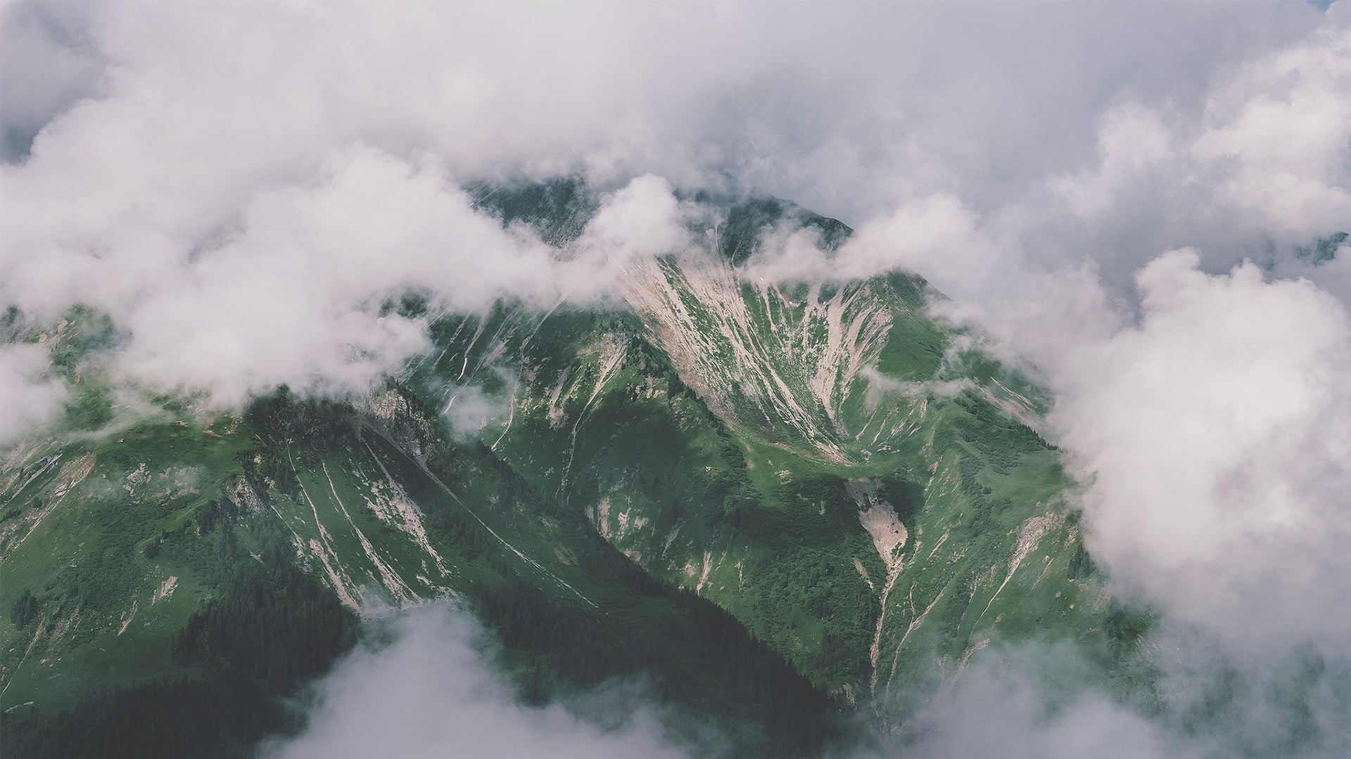 fog, tranquility, coniferous tree, environment, cloud - sky, pine woodland, beauty in nature, land, scenics - nature, mountain, tranquil scene, non-urban scene, HD Wallpaper
