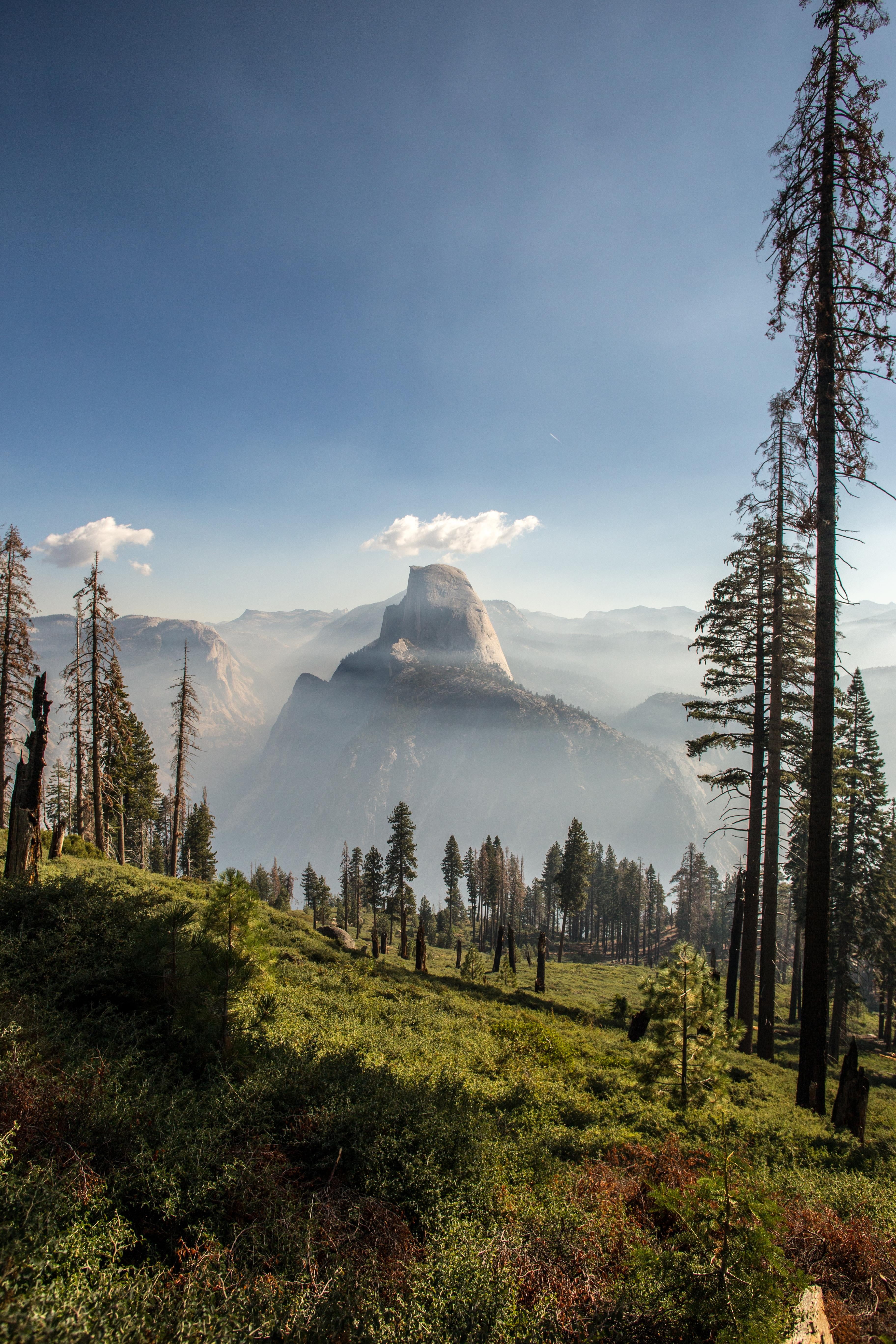sky, smog, plant, travel destinations, forest, mountains, mountain peak, Yosemite National Park, travel, nature, pine, scenics - nature, pine tree, outdoors, Phone HD Wallpaper