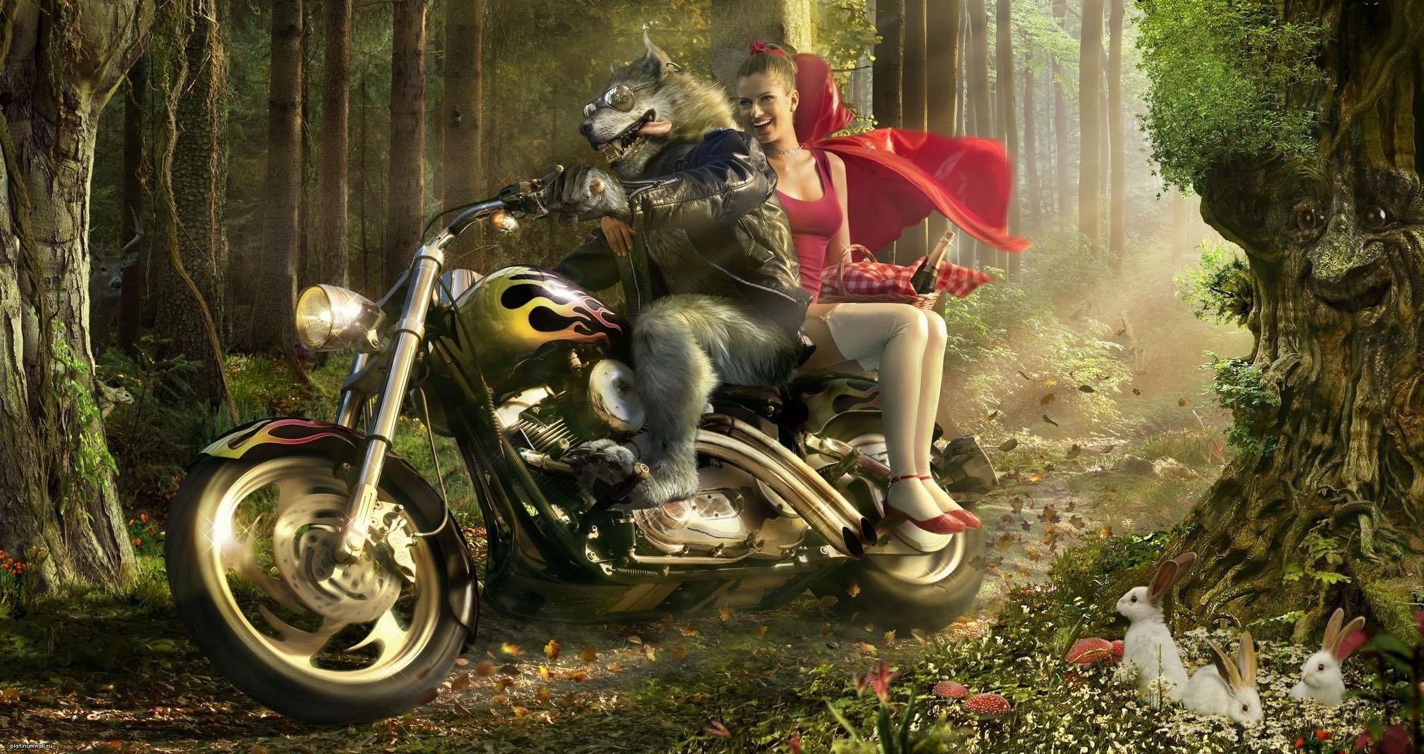 motorcycle, outdoors, rabbits, wolf, statue, art and craft, land, nature, craft, transportation, Little Red Riding Hood, land vehicle, no people, HD Wallpaper