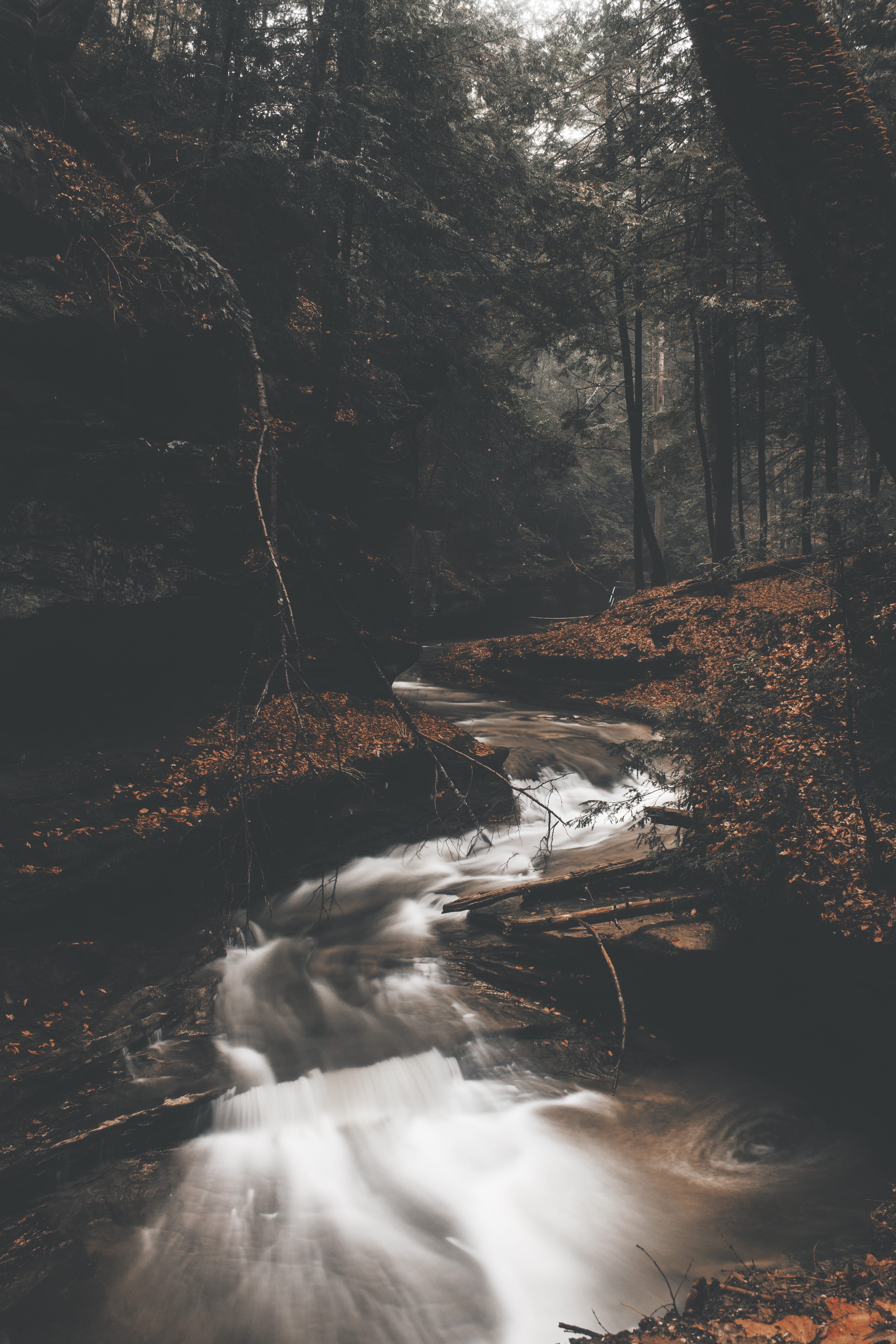 no people, dark, woodland, flowing, leaf, painting, ditch, scenics - nature, scenery, tree, fog, art, flowing water, waterfall, rock, day, plant, solid, Phone HD Wallpaper