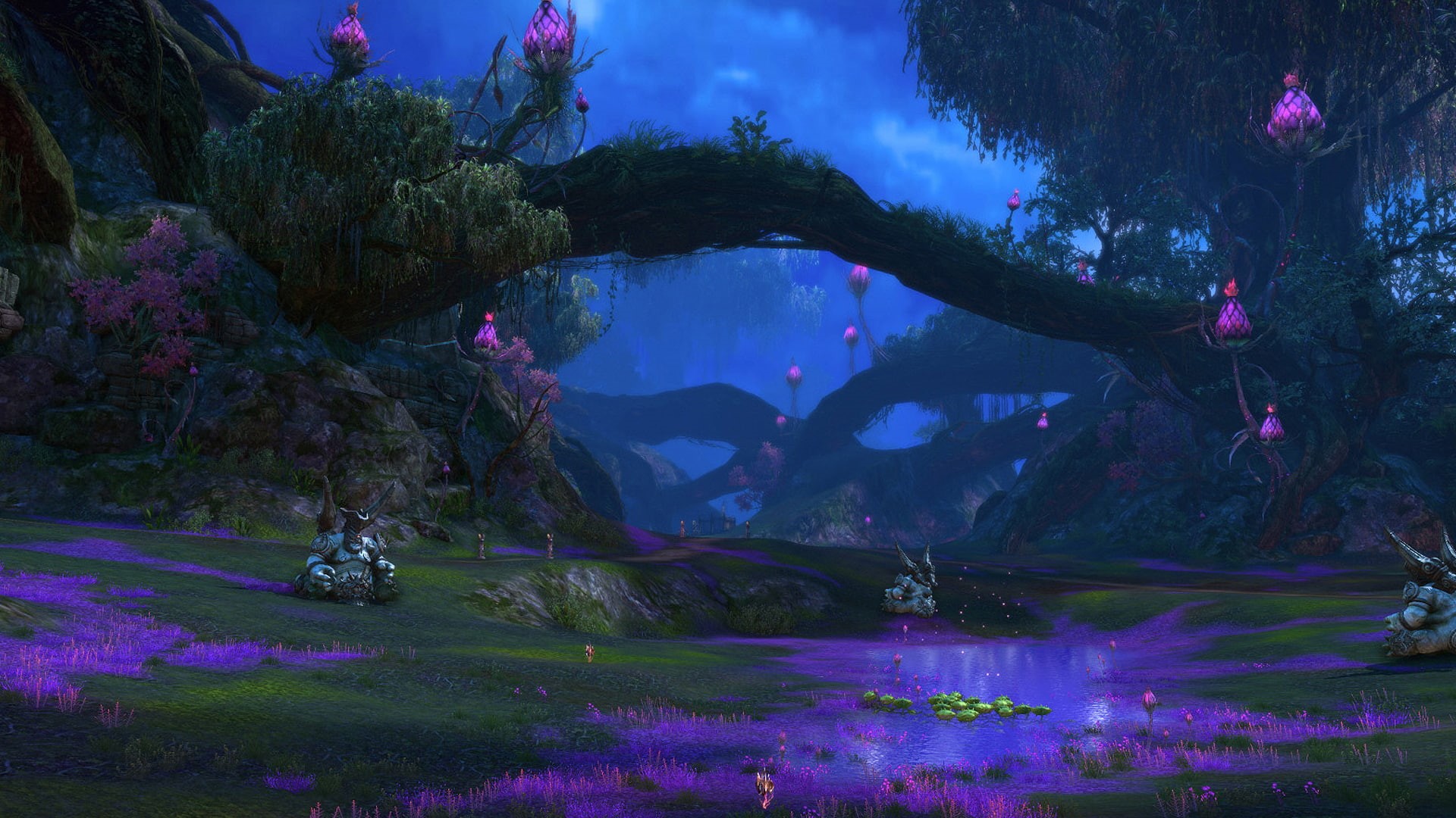 online, adventure, 1080P, game, 143, tera, fantasy, HD Wallpaper