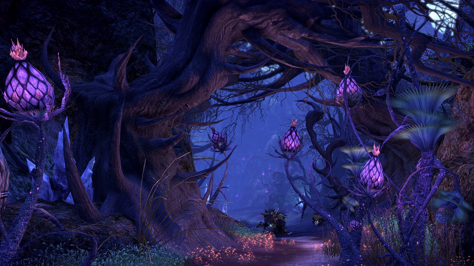 163, fantasy, online, game, adventure, tera, 1080P, HD Wallpaper
