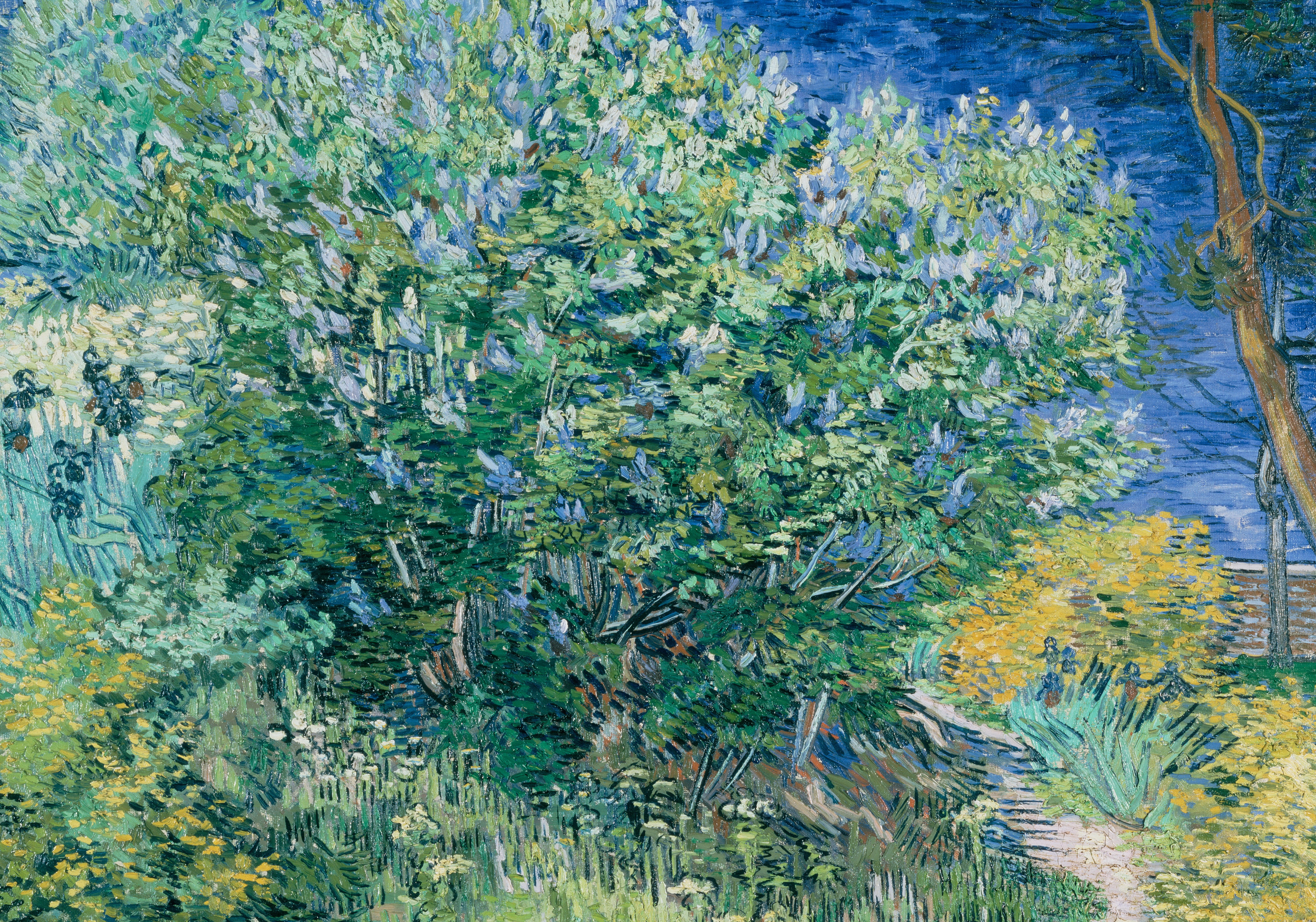 The Lilac Bush, picture, landscape, Vincent van Gogh, Vincent Willem van Gogh, 5K, HD Wallpaper