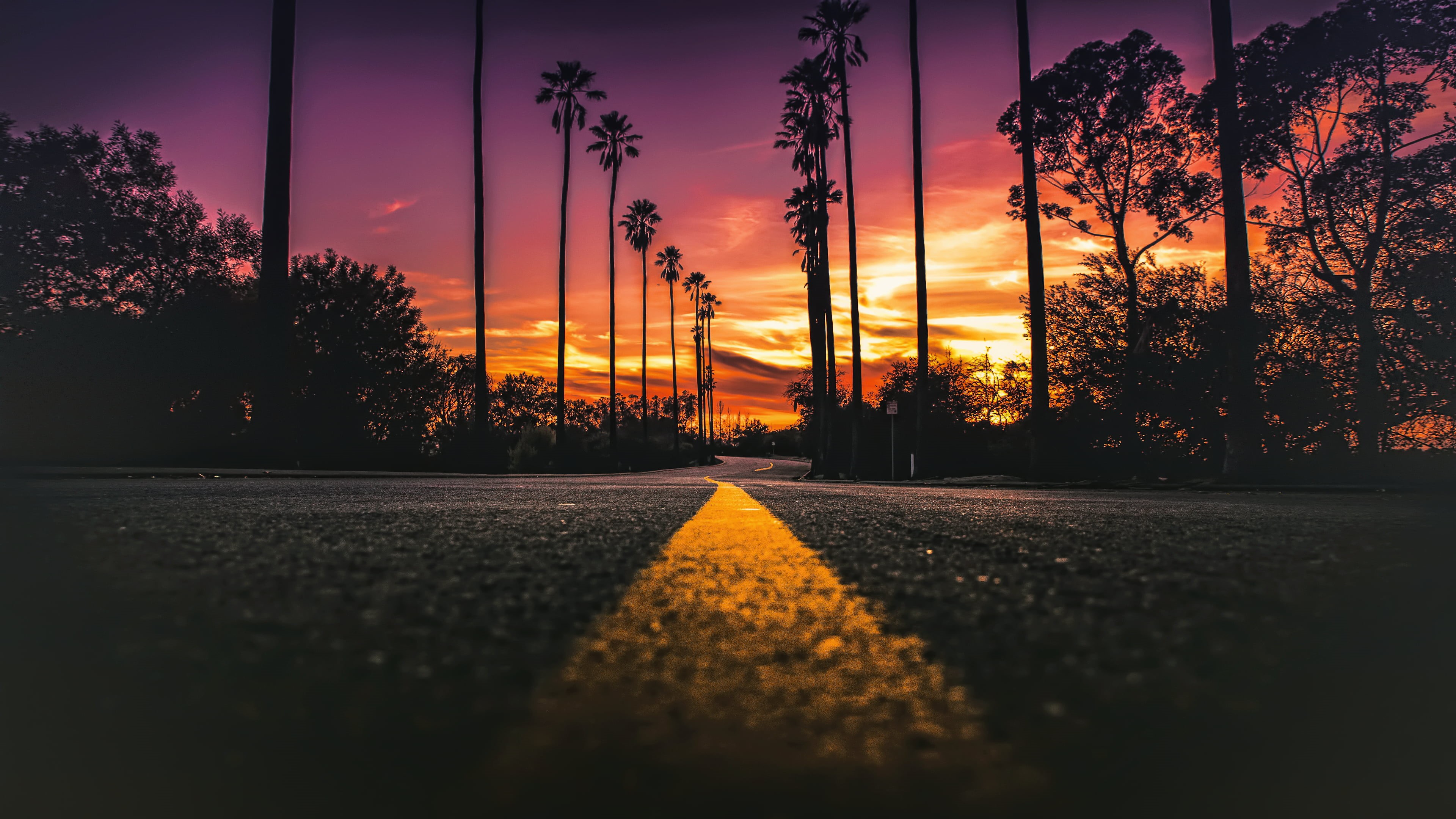 urban Scene, sunset, outdoors, orange color, surface level, road, worms eye view, diminishing perspective, nature, no People, plant, USA, street, dividing line, HD Wallpaper