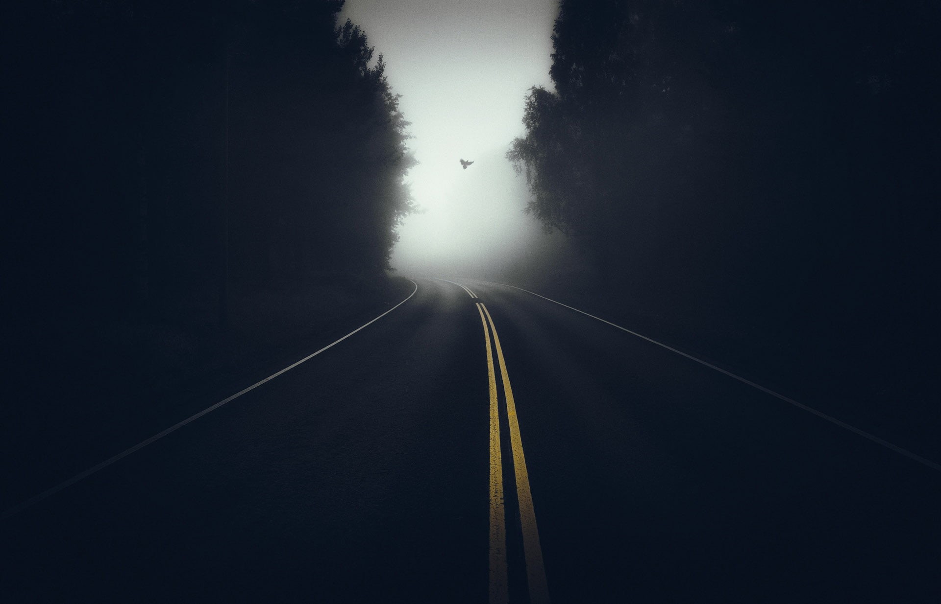 double yellow line, traffic, nature, road, empty, outdoors, direction, fog, street, blue, dark, no People, trees, travel, cloud - Sky, long, landscape, HD Wallpaper