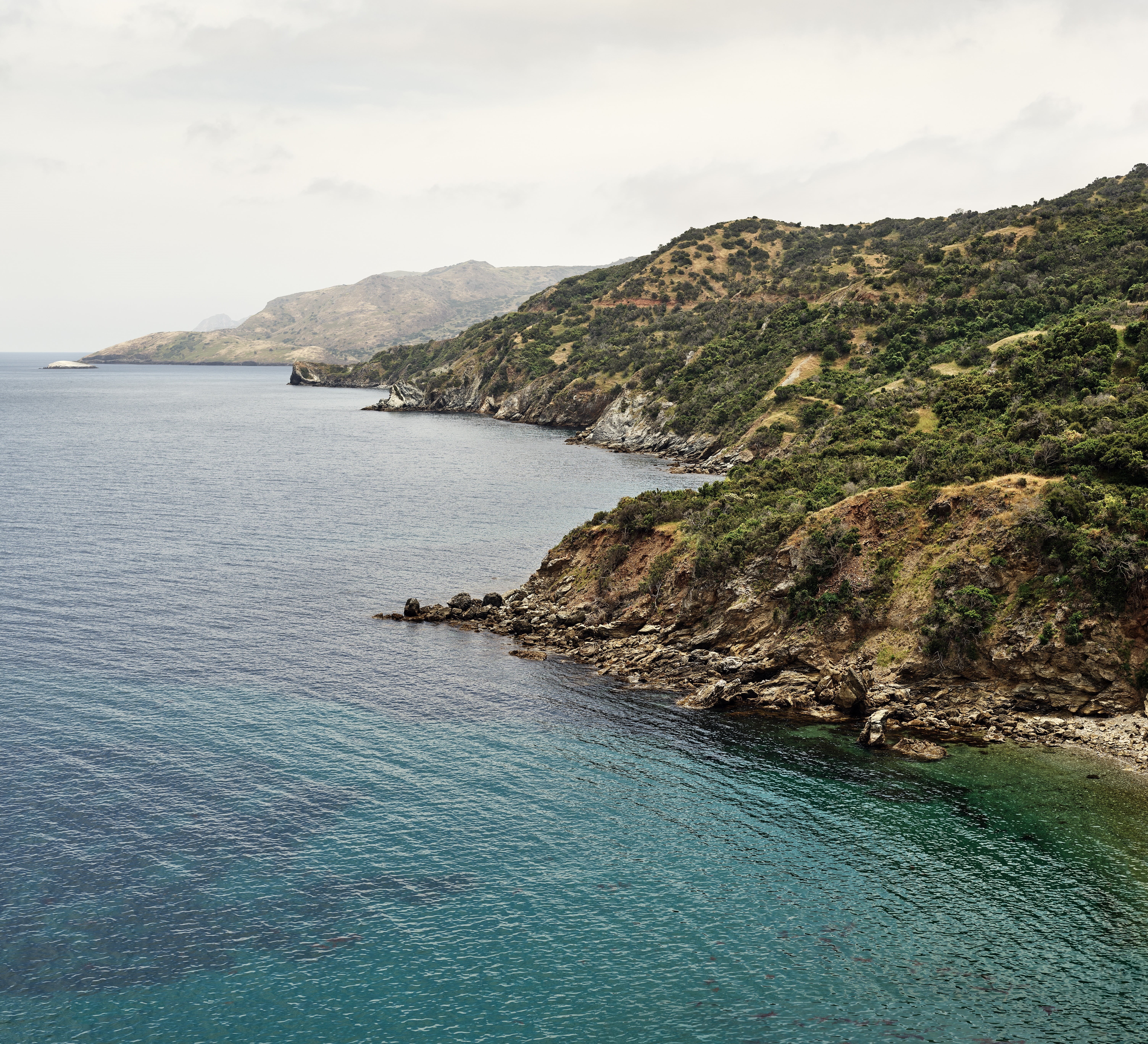 Santa Catalina Island, Apple Inc., Earth, Coast, 5K, Island, HD Wallpaper