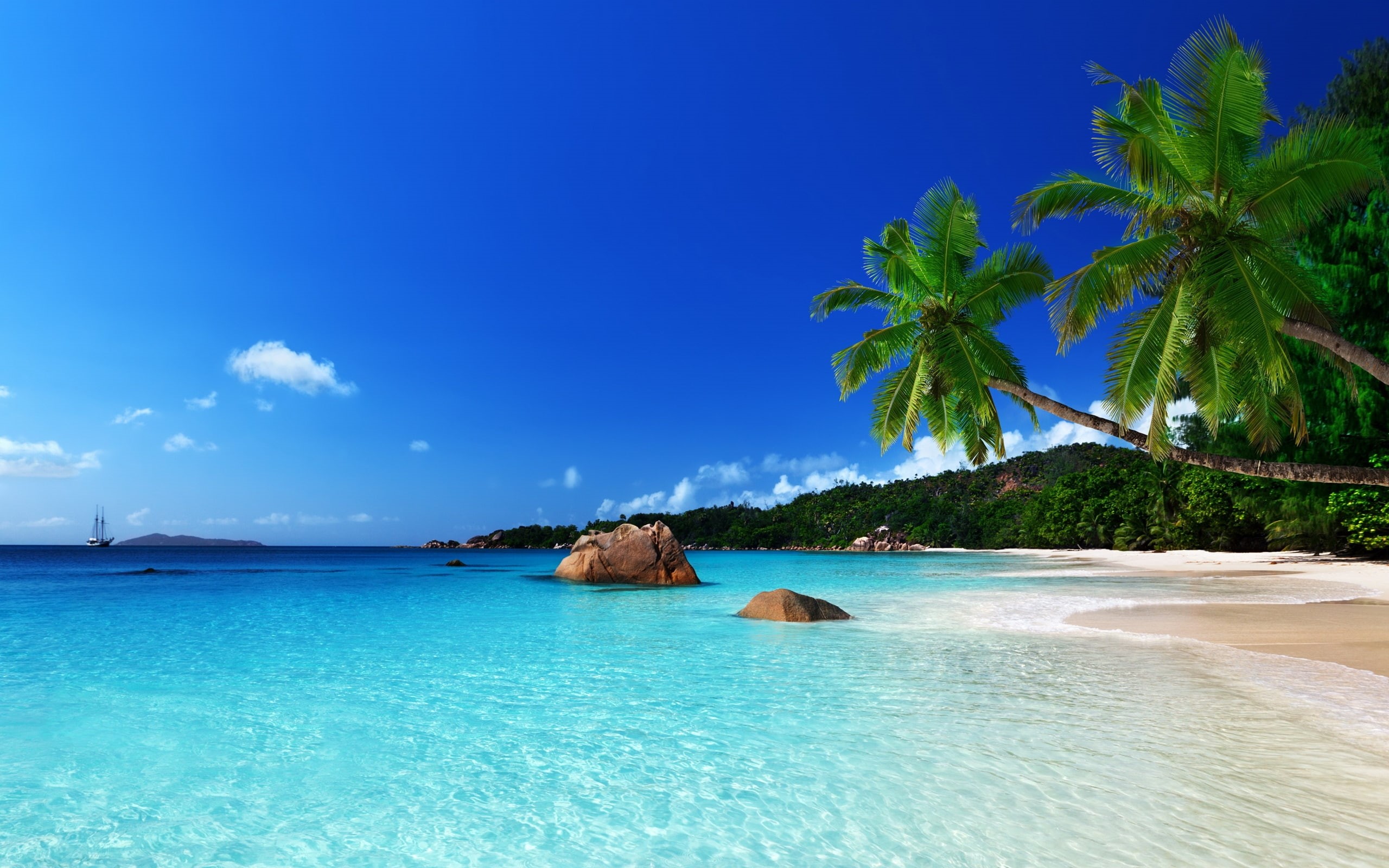 paradise, tropical, coast, palm, summer, sea, ocean, 2K, beach, HD Wallpaper