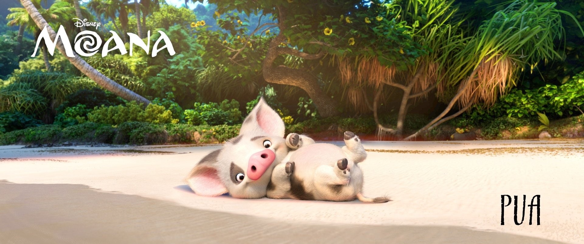 1080P, Movie, Pig, Moana (Movie), Moana, Pua (Moana), HD Wallpaper