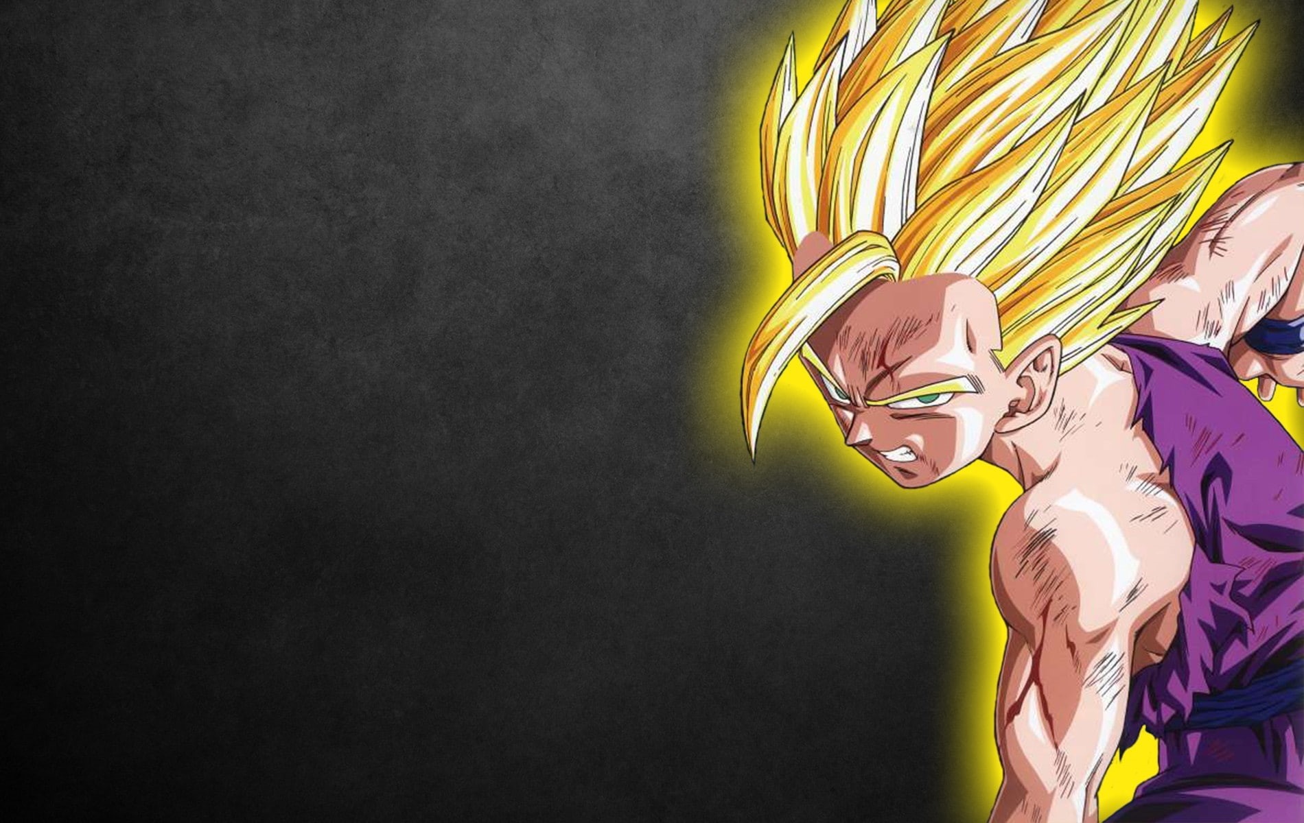 anime, dragonball, Black, dragon, x, 720P, son, ball, hd, art, Gohan, z, HD Wallpaper