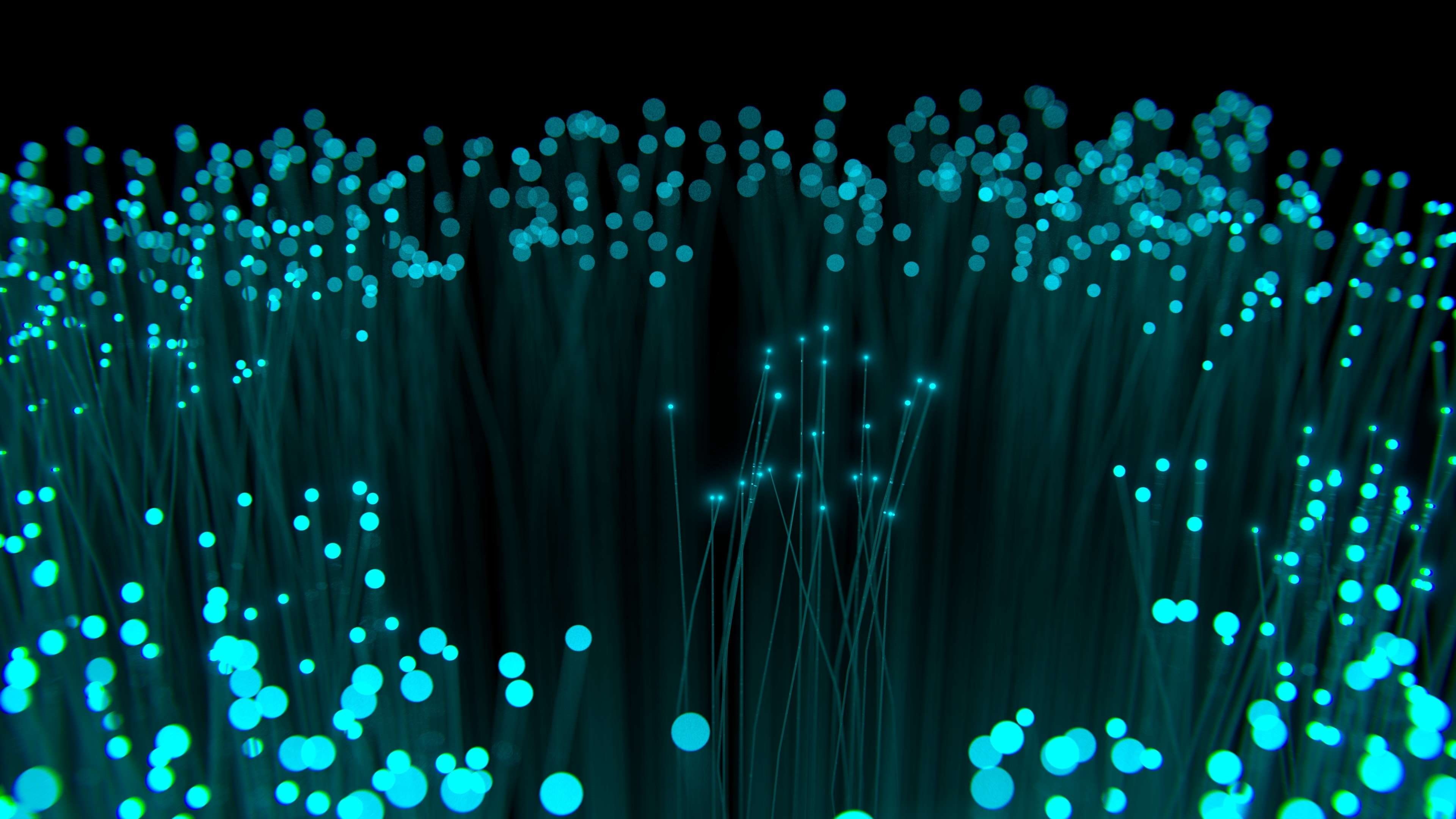 defocused, no people, data, lighting equipment, communication, 4k resolution, studio shot, electrical equipment, internet, glowing, computer network, blender, HD Wallpaper