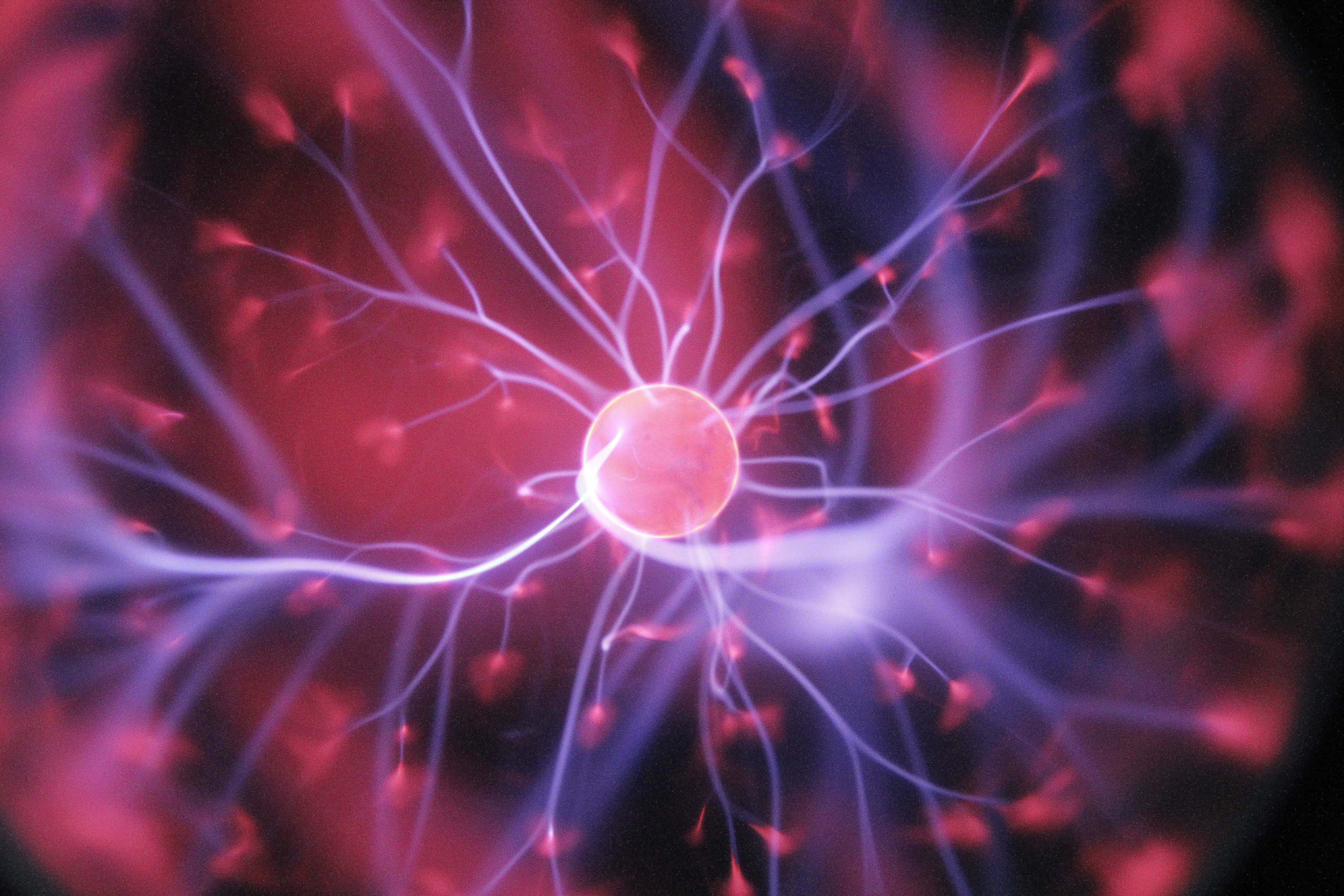 cell, synapsis, animal wildlife, cosmic, nature, extreme close-up, energy, water, scientist, red, sea life, animal themes, no people, full frame, beauty in nature, HD Wallpaper