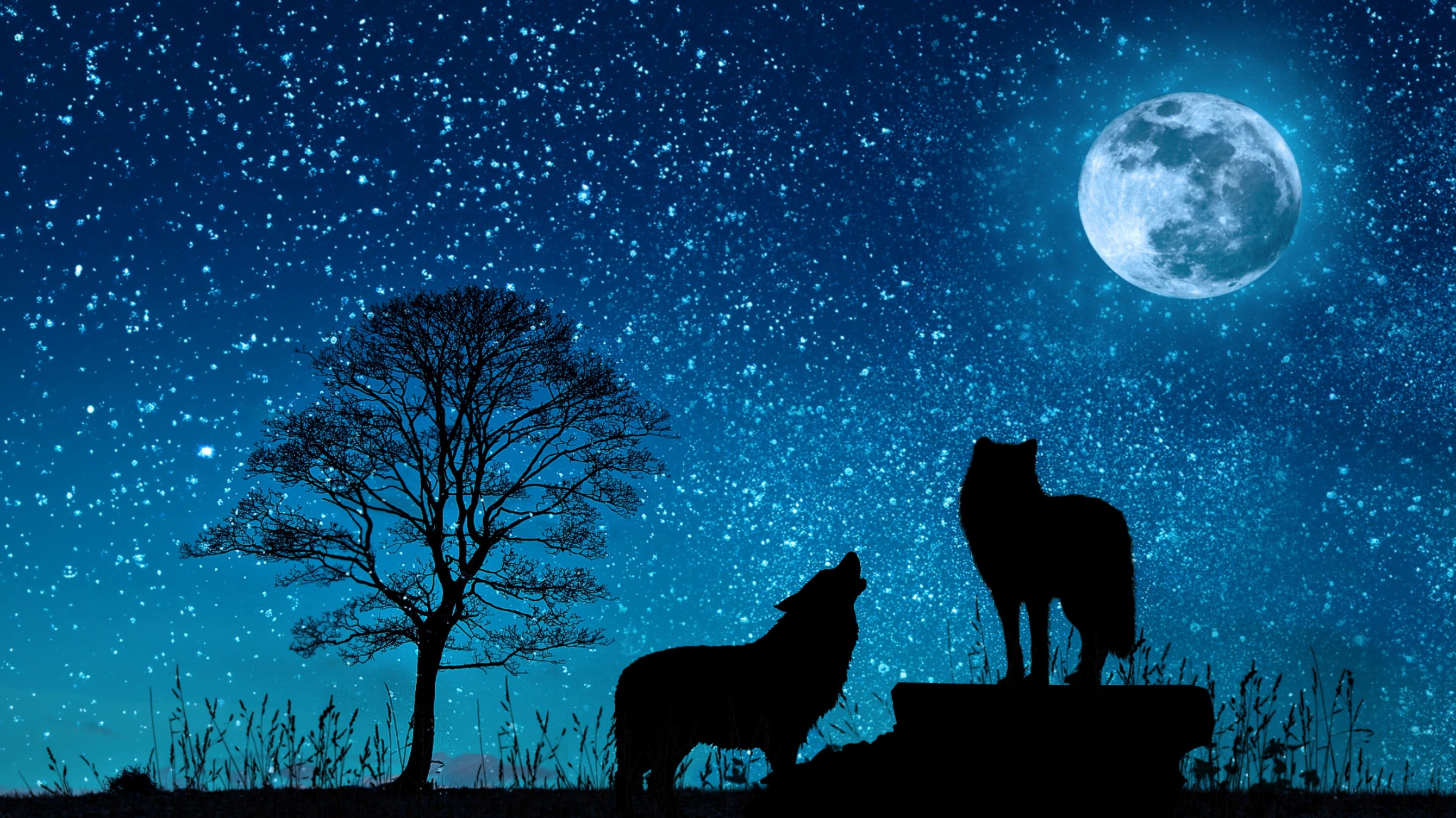 roar, nature, animal themes, travel, 4K, domestic, sky, domestic animals, milkyway, blue, digital composite, star - space, outdoors, full moon, moonlight, HD Wallpaper