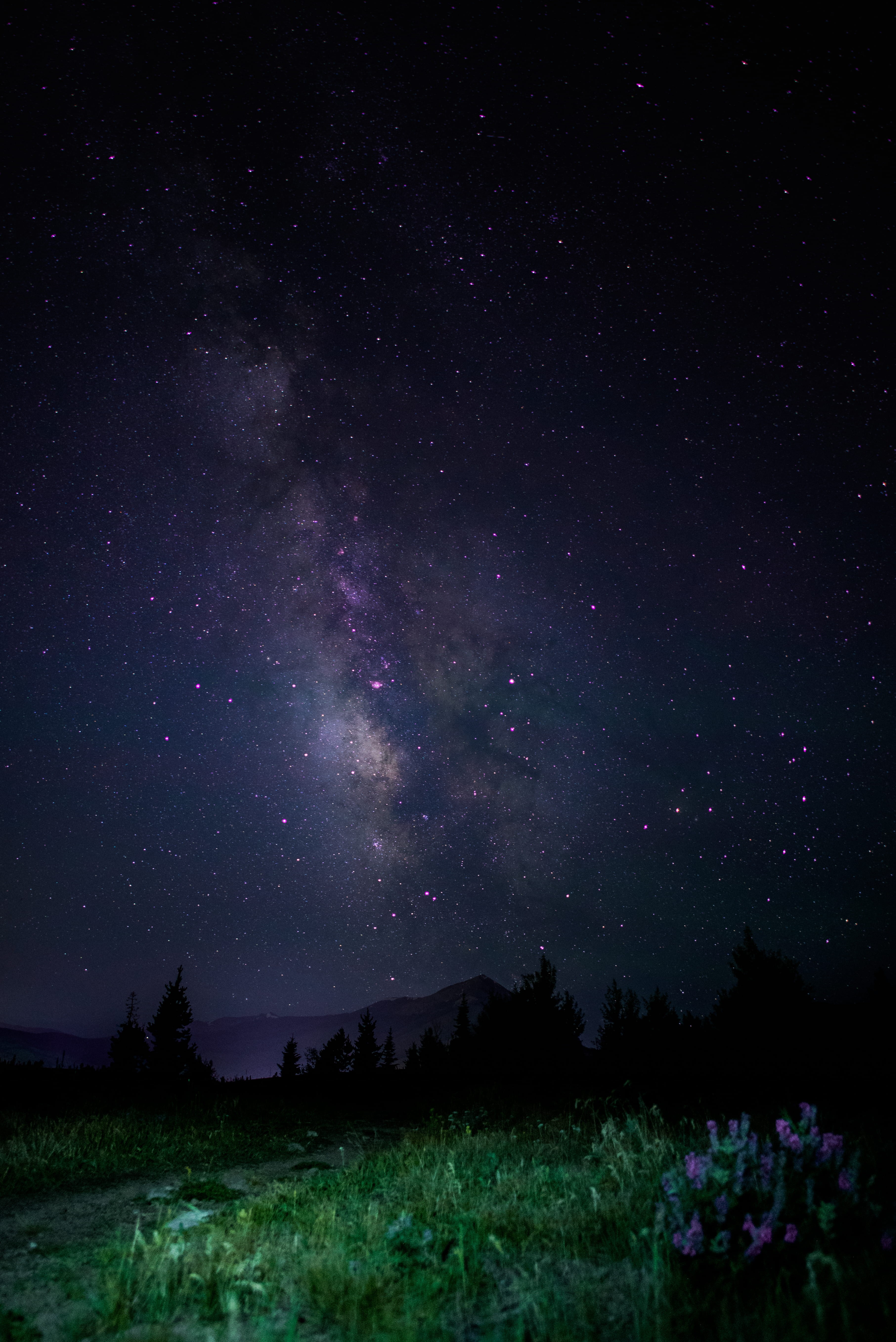 night, star, plant, outdoors, green color, galaxy, land, tranquil scene, tranquility, skies, milky, field, purple, environment, milky way, beauty in nature, Phone HD Wallpaper