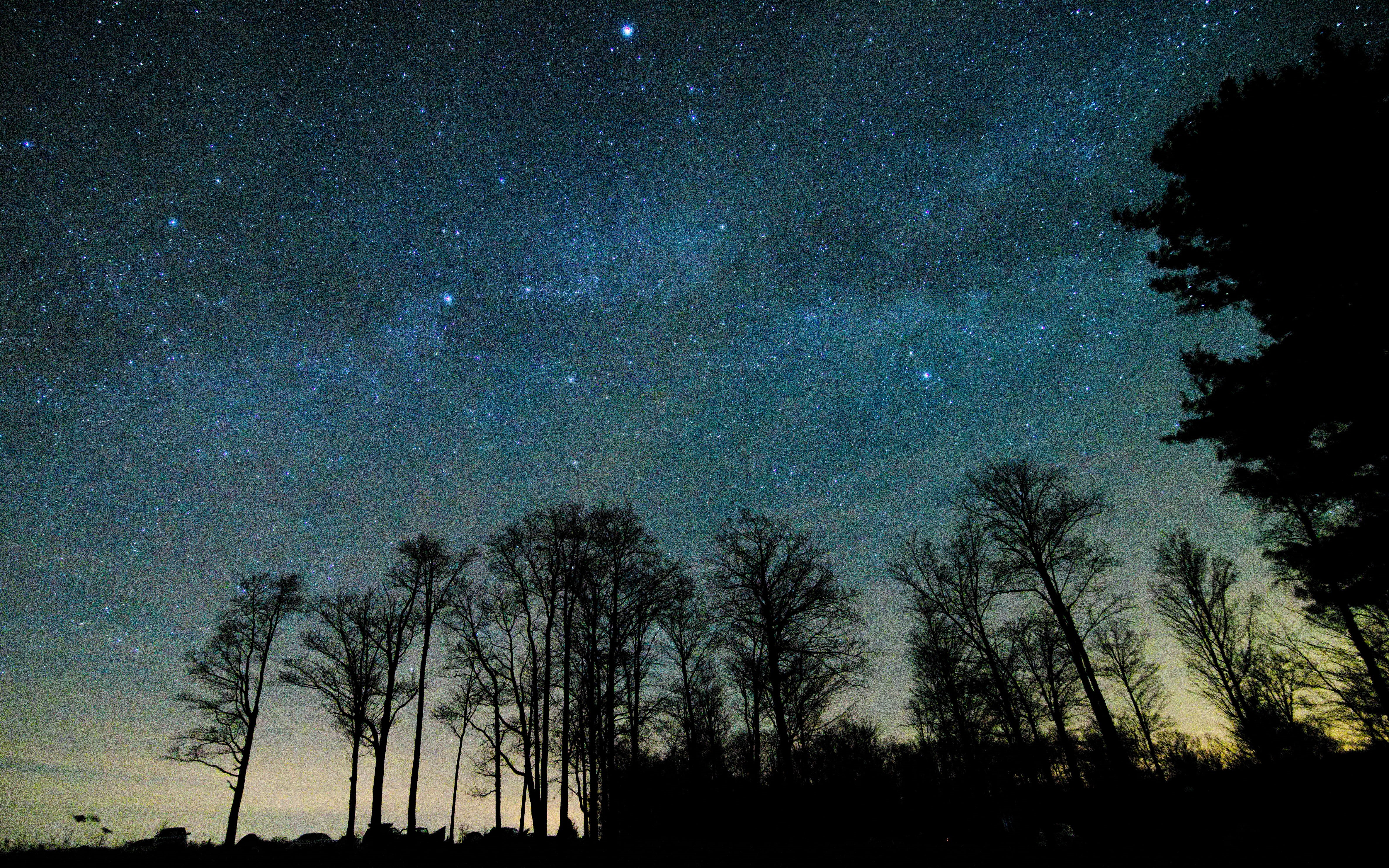 low angle view, nature, silhouette, tree, majestic, idyllic, growth, united states, nightsky, cherry springs state park astronomy observation field, space, HD Wallpaper