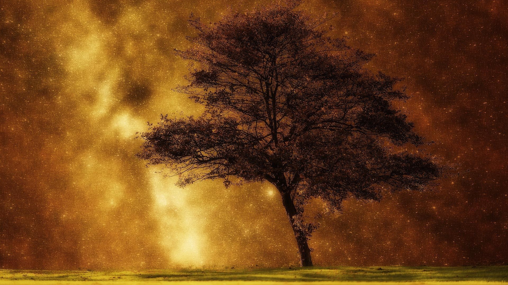 galaxy, 1080P, red, stars, milkyway, tree, HD Wallpaper