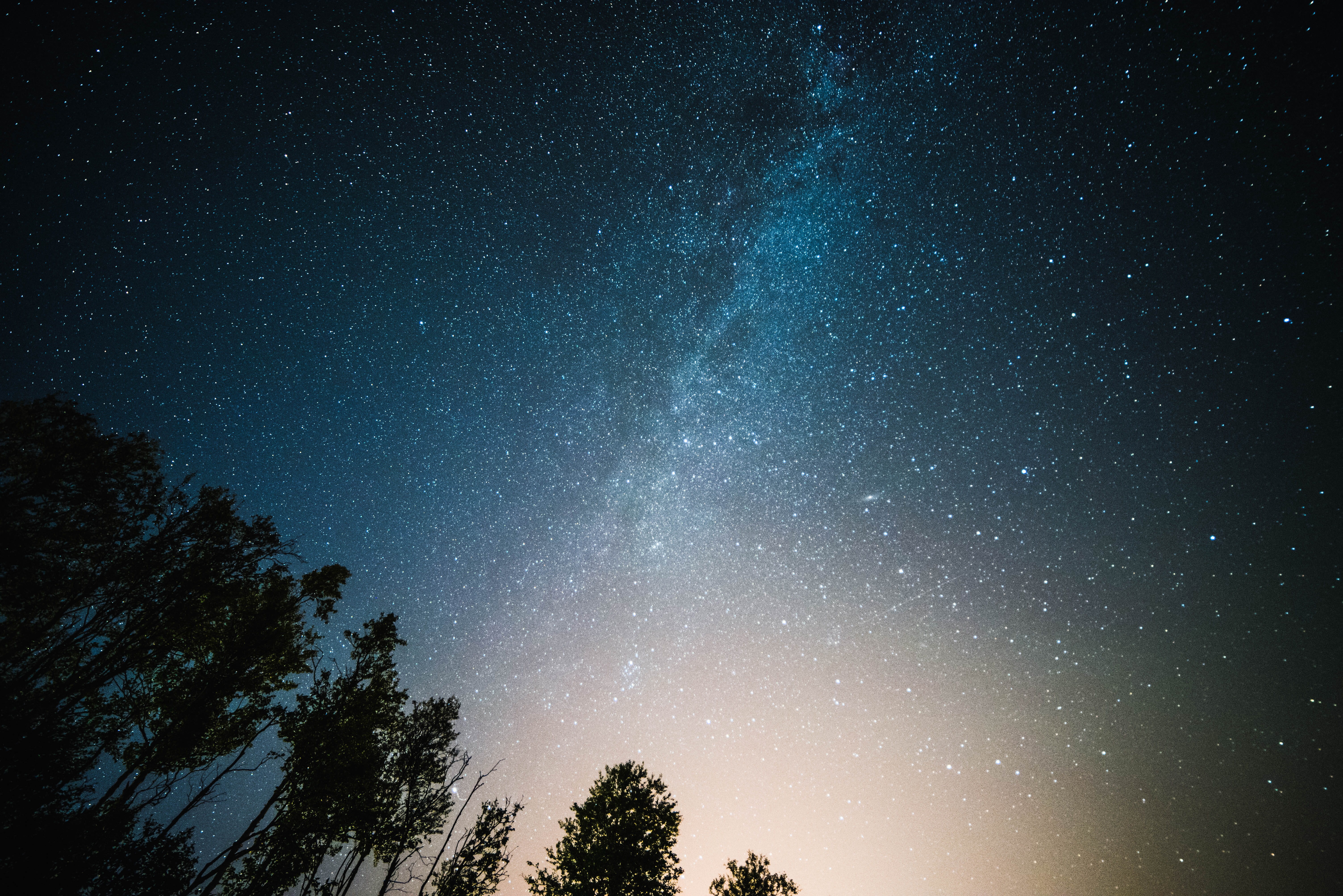 space, heaven, low angle view, plant, starlight, no people, milky way, space and astronomy, galaxy, beauty in nature, sky, 5K, night, star - space, milky, HD Wallpaper