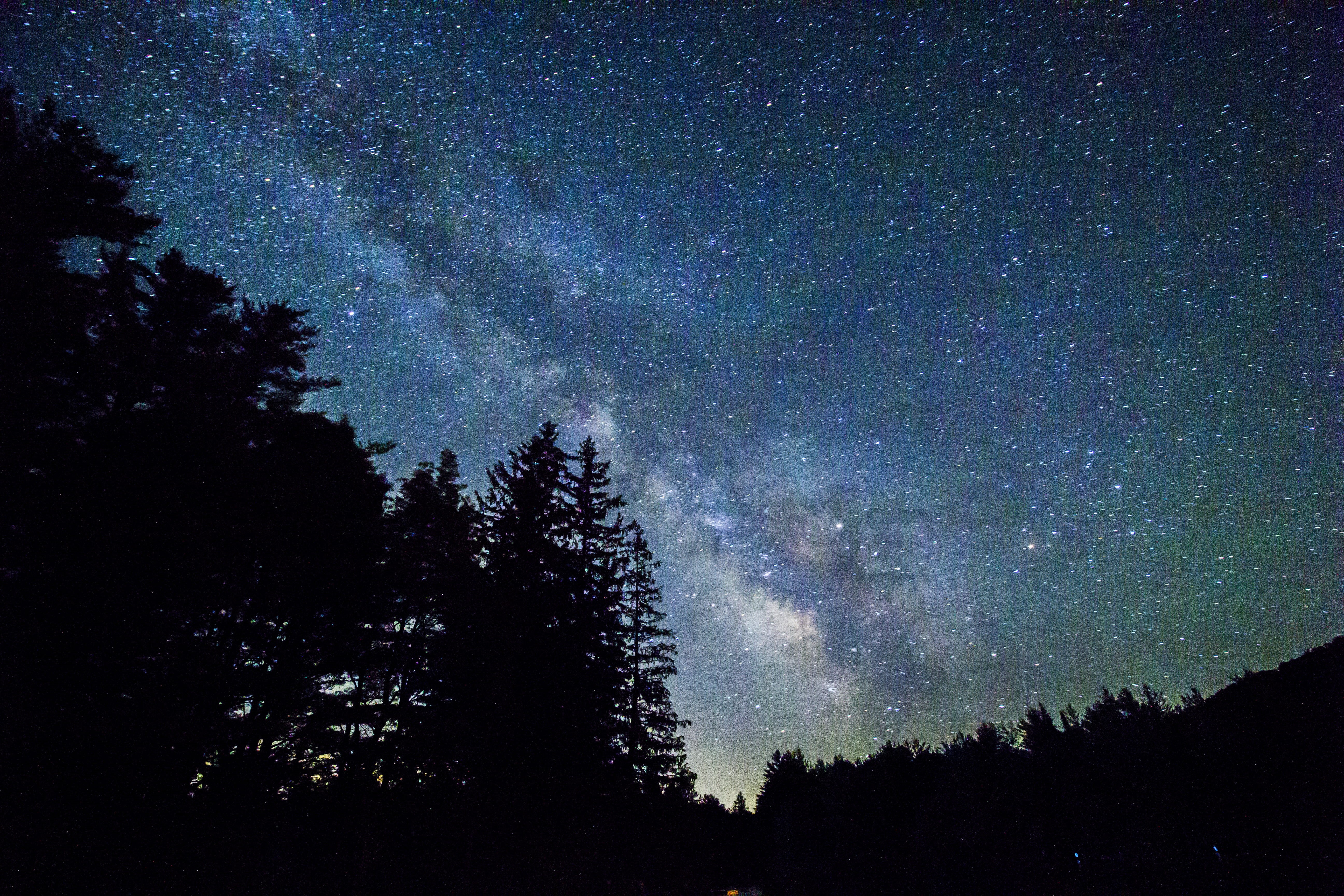 beauty in nature, tree, star field, growth, tranquility, night, adirondack, angle, nature, blue, star - space, low, night sky, astronomy, pine, tree silhouette, HD Wallpaper