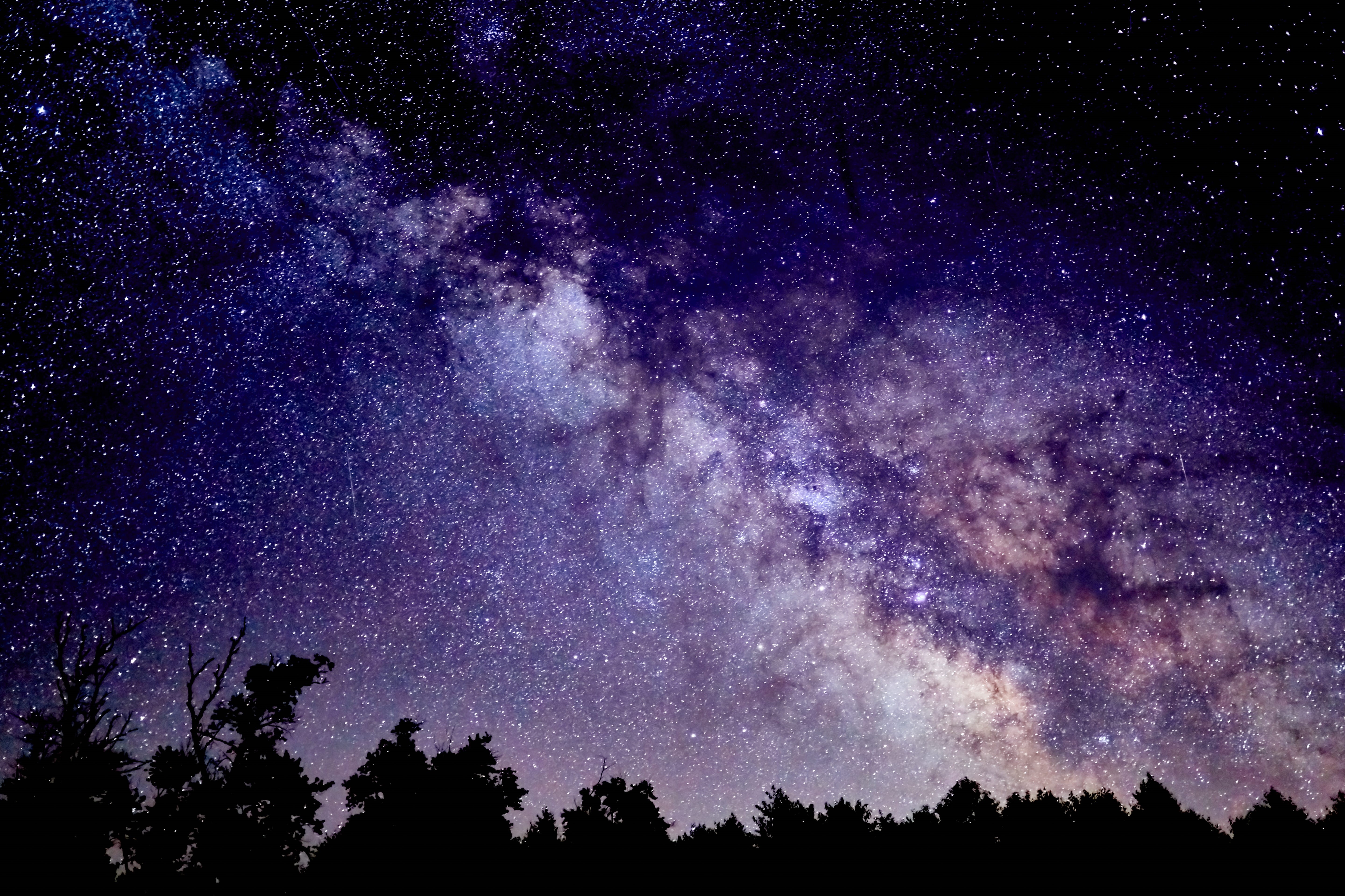 idyllic, constellation, stars, beauty in nature, sky, 5K, star - space, no people, forest, tree, tranquil scene, camping, dark, star field, plant, milkyway, HD Wallpaper