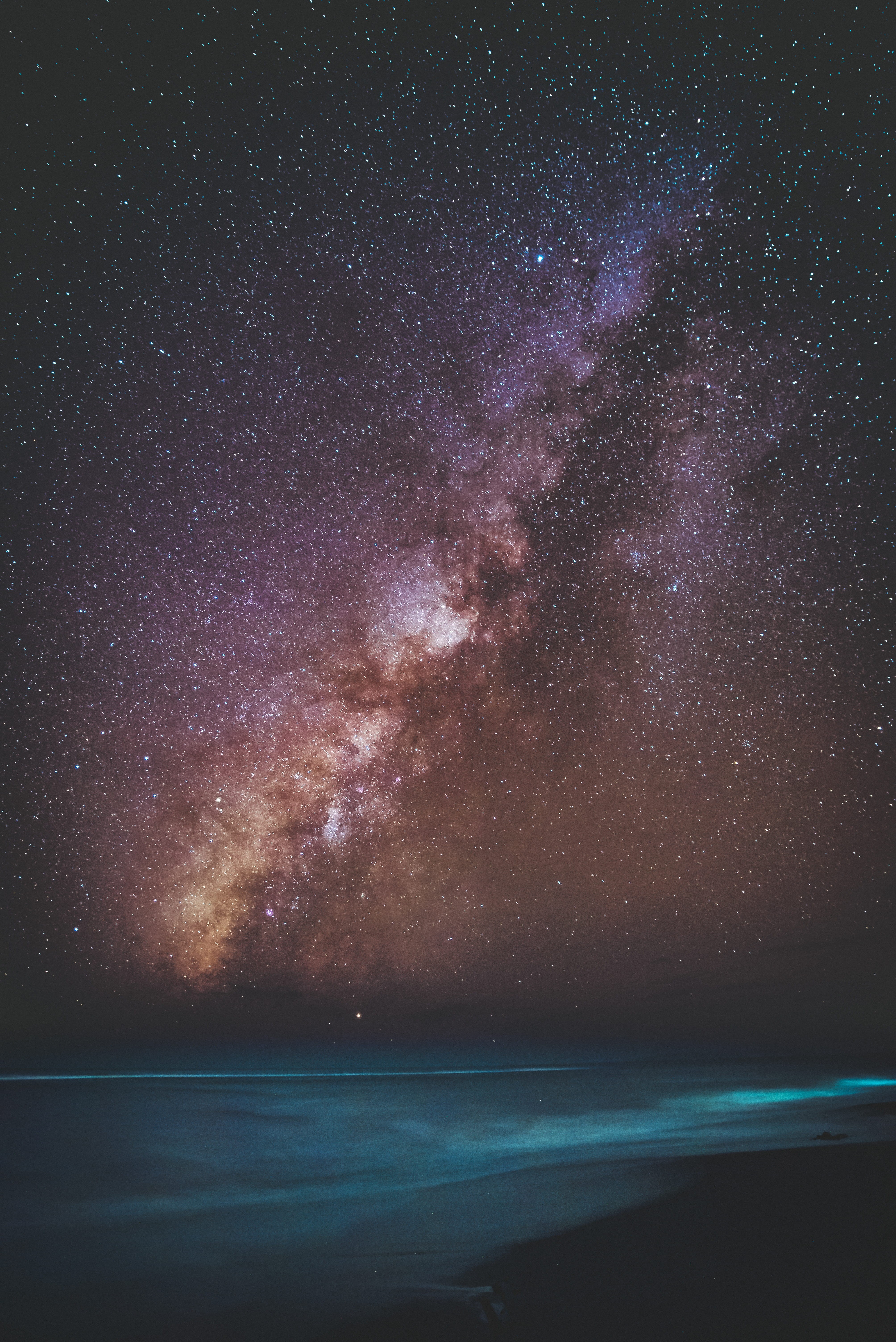 explore, science, sea, night, tree, constellation, sky, star Shape, stratosphere, night sky, starry sky, astronomy, star Field, nature, backgrounds, Phone HD Wallpaper