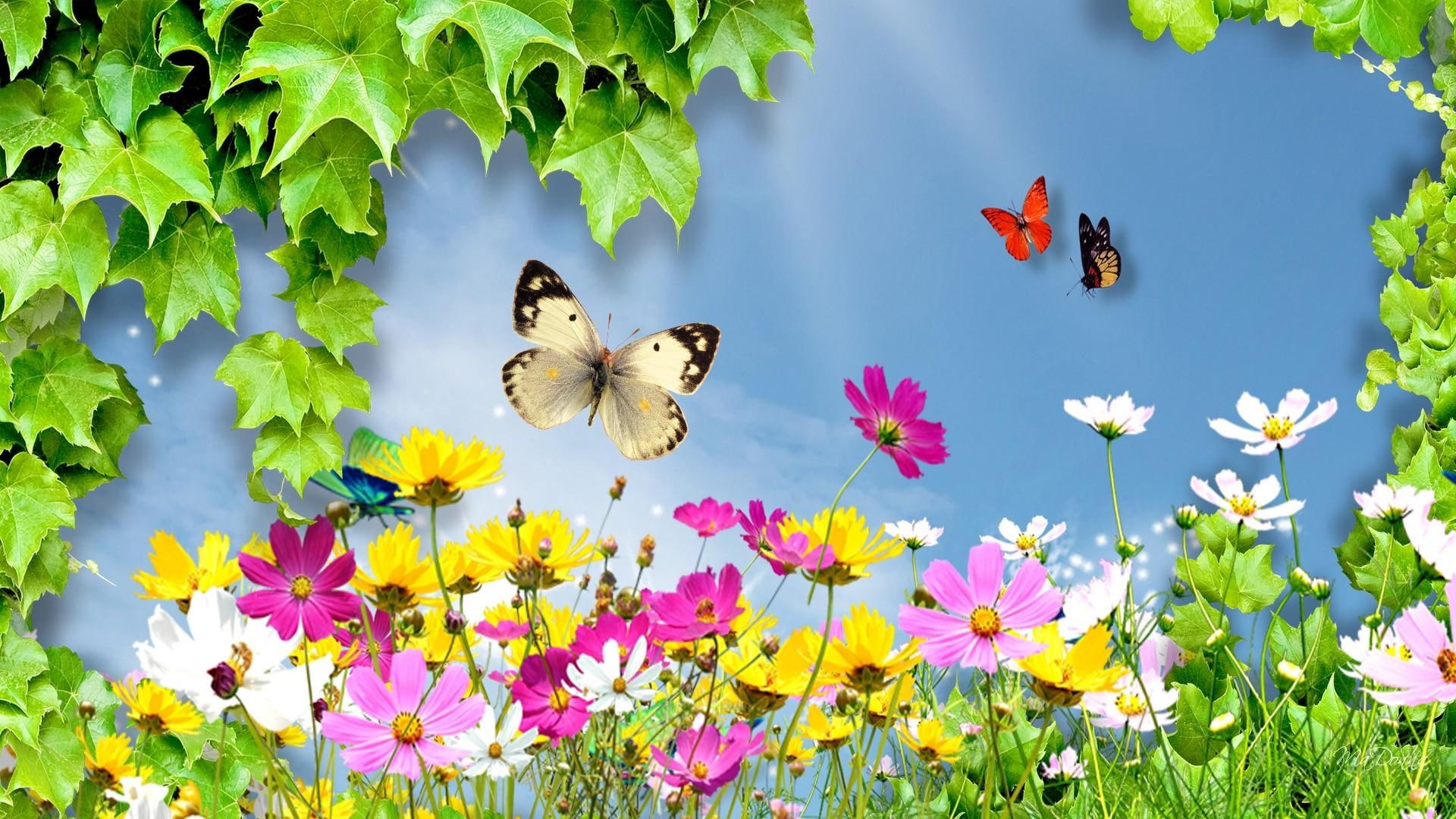 wild flowers, wild, wonderful, daisies, cosmos, light, 1080P, world, flowers, bright, butterflies, grass, spring, HD Wallpaper