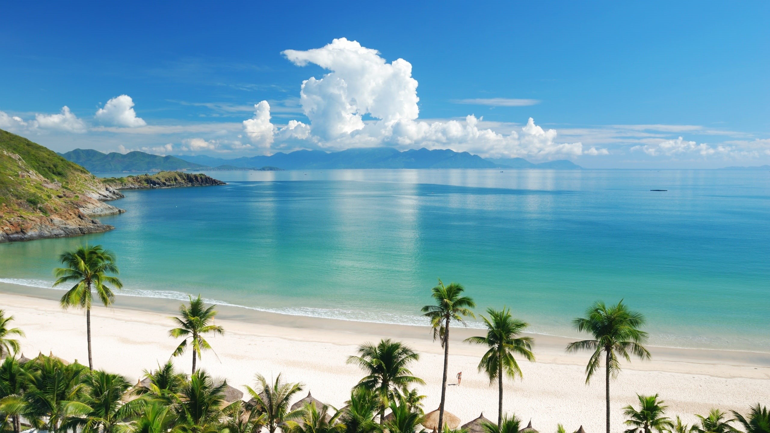 blanca, mar, tropical, playa, 2K, arena, palmeras, HD Wallpaper