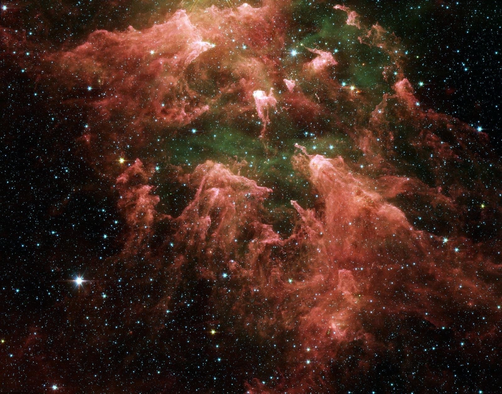 star, star - Space, animal themes, animals in the wild, 720P, full frame, cloud - sky, beauty in nature, night sky, ngc 3372, illuminated, animal wildlife, HD Wallpaper