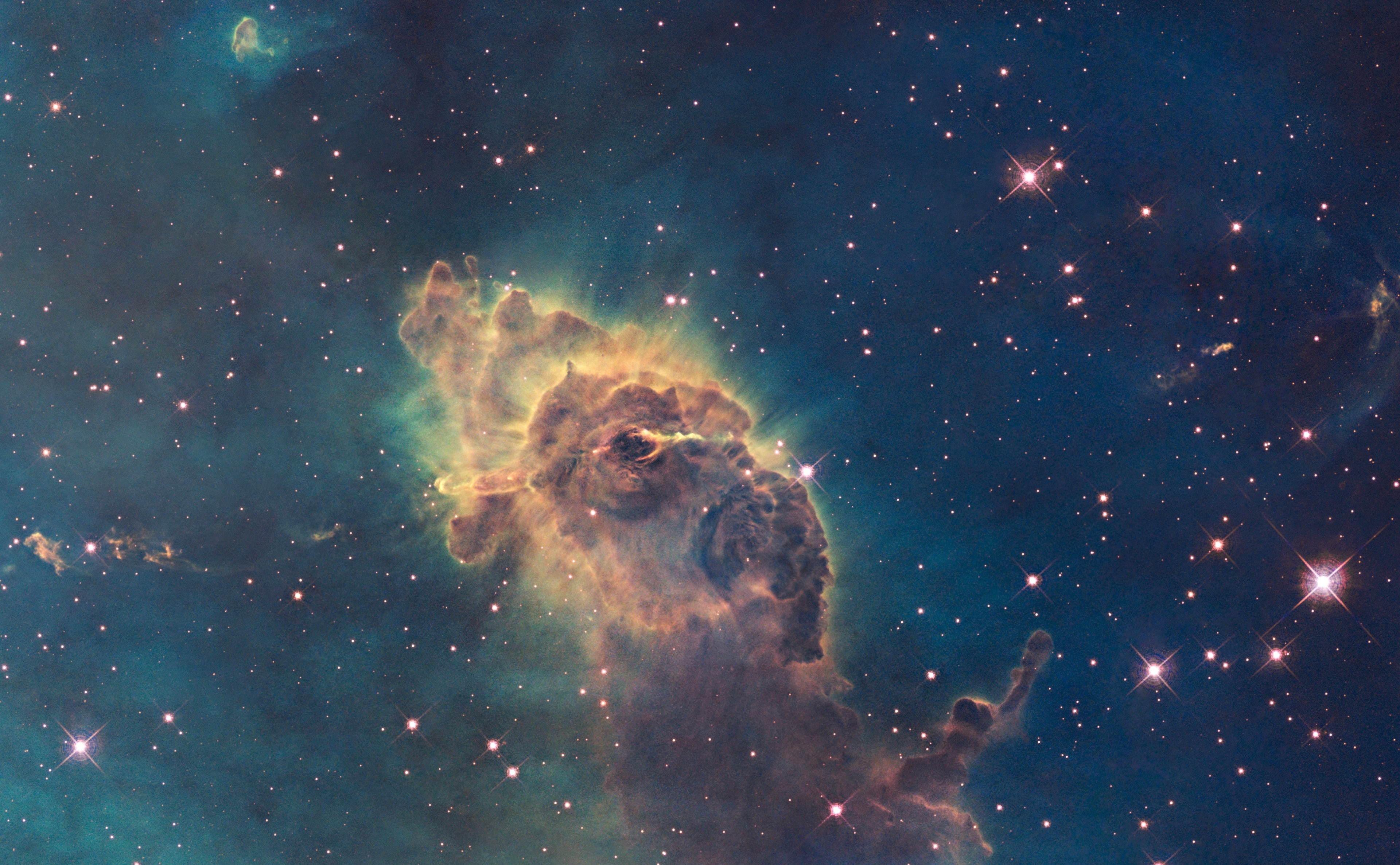 water, one animal, Space, beauty in nature, astronomy, brown, no people, animals in the wild, Nebula, animal wildlife, nature, 4K, underwater, HD Wallpaper