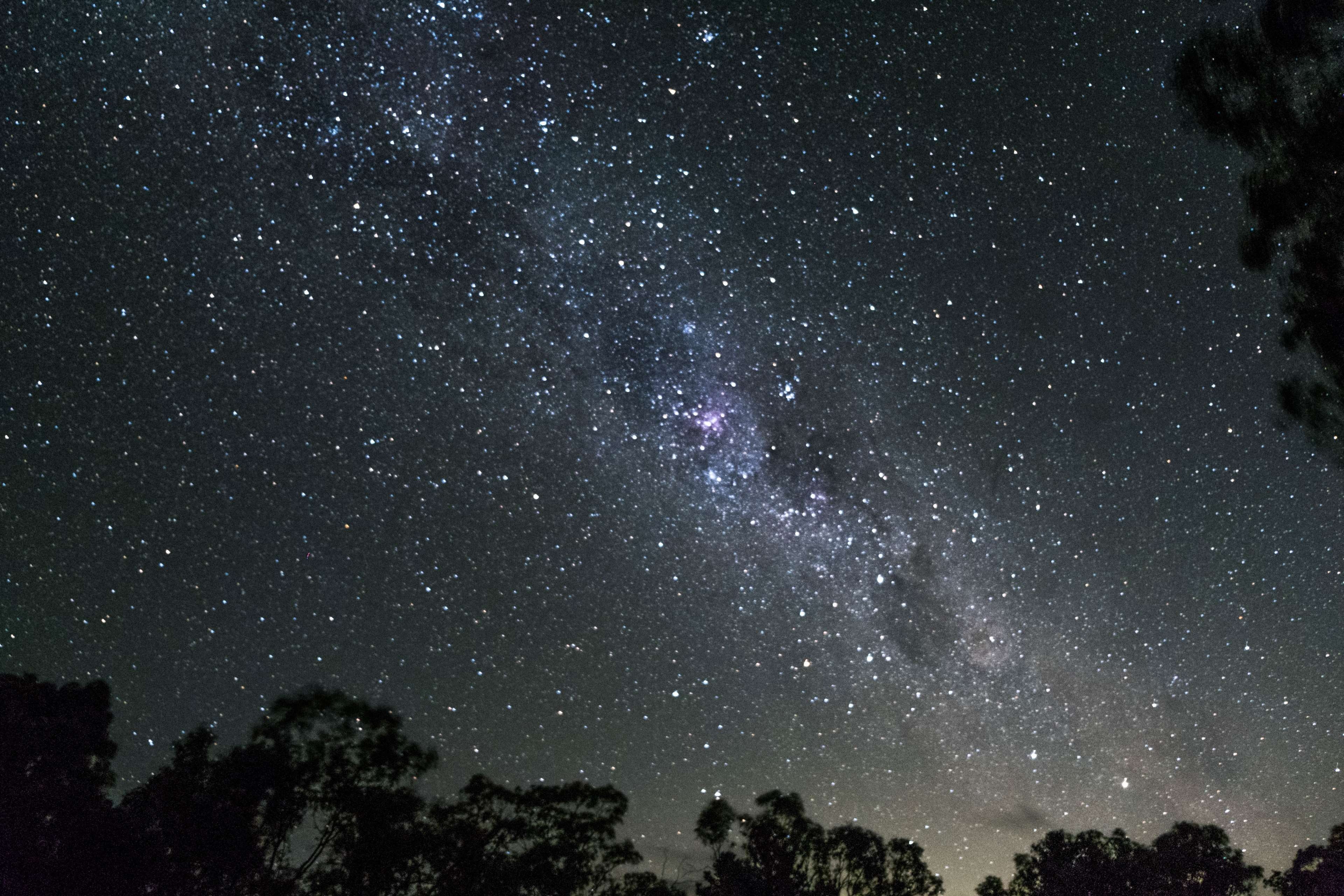 space and astronomy, scenics - nature, beauty in nature, space, no people, outdoors, low angle view, idyllic, nature, plant, tranquil scene, night, astrophotography, HD Wallpaper