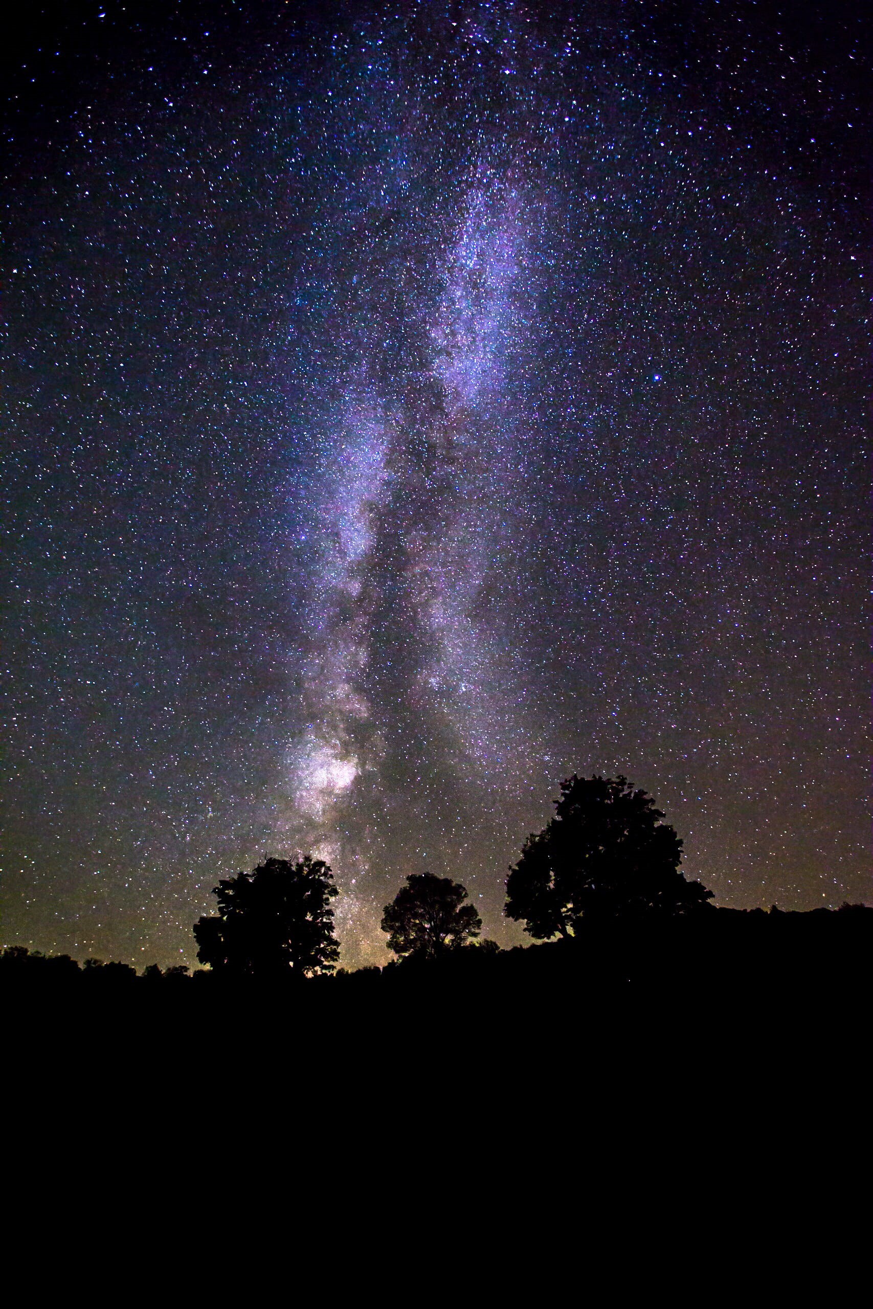 astrophotography, idyllic, nightsky, beauty in nature, silhouette, nature, tranquil scene, way, milky, star, astrophoto, quiet, vast, no people, three, Phone HD Wallpaper