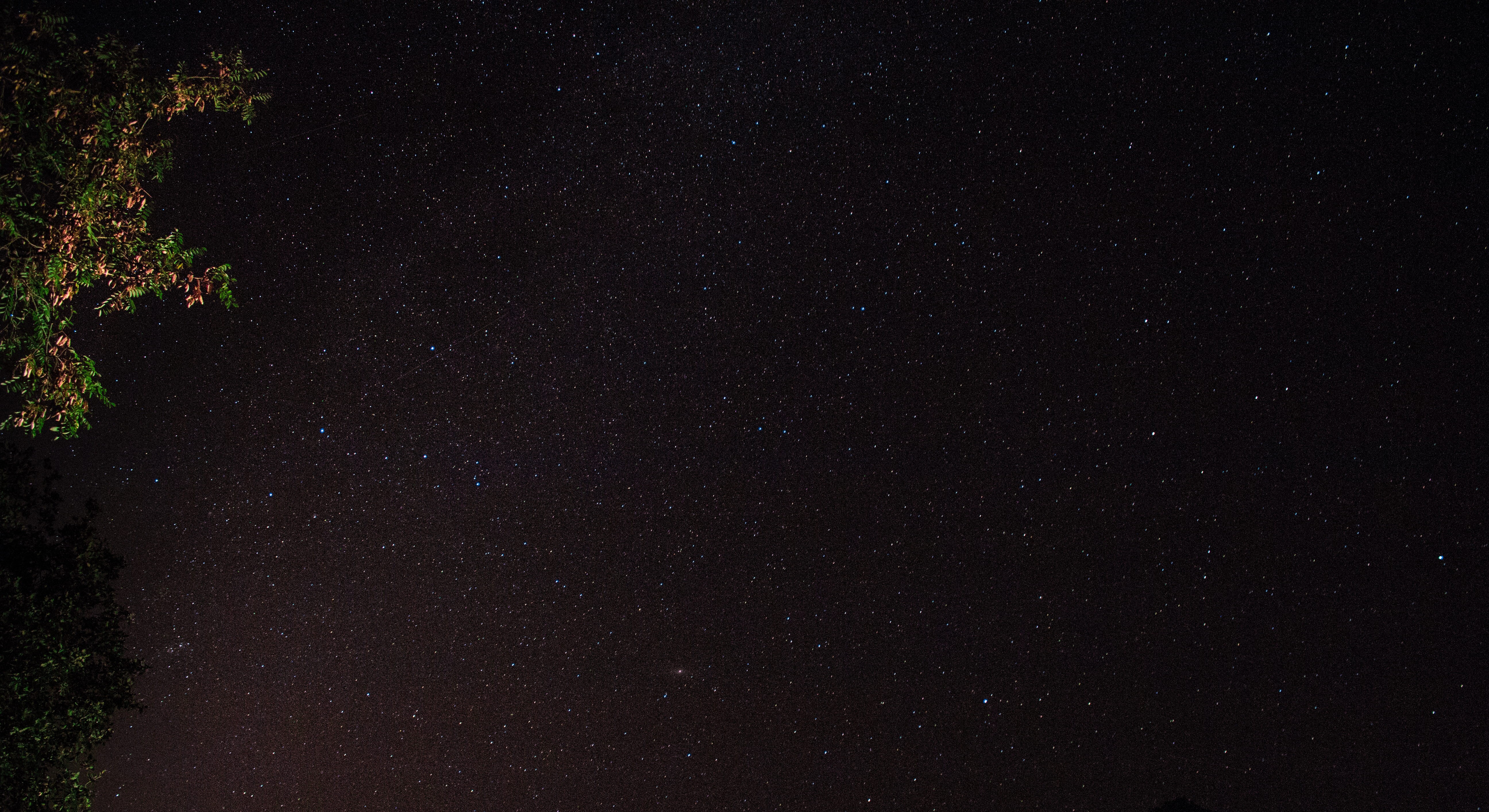 la vallée du jabron, trees, france, plant, stars, astrophoto, idyllic, galaxy, scenics - nature, tranquility, astronomy, low angle view, space, space and astronomy, HD Wallpaper