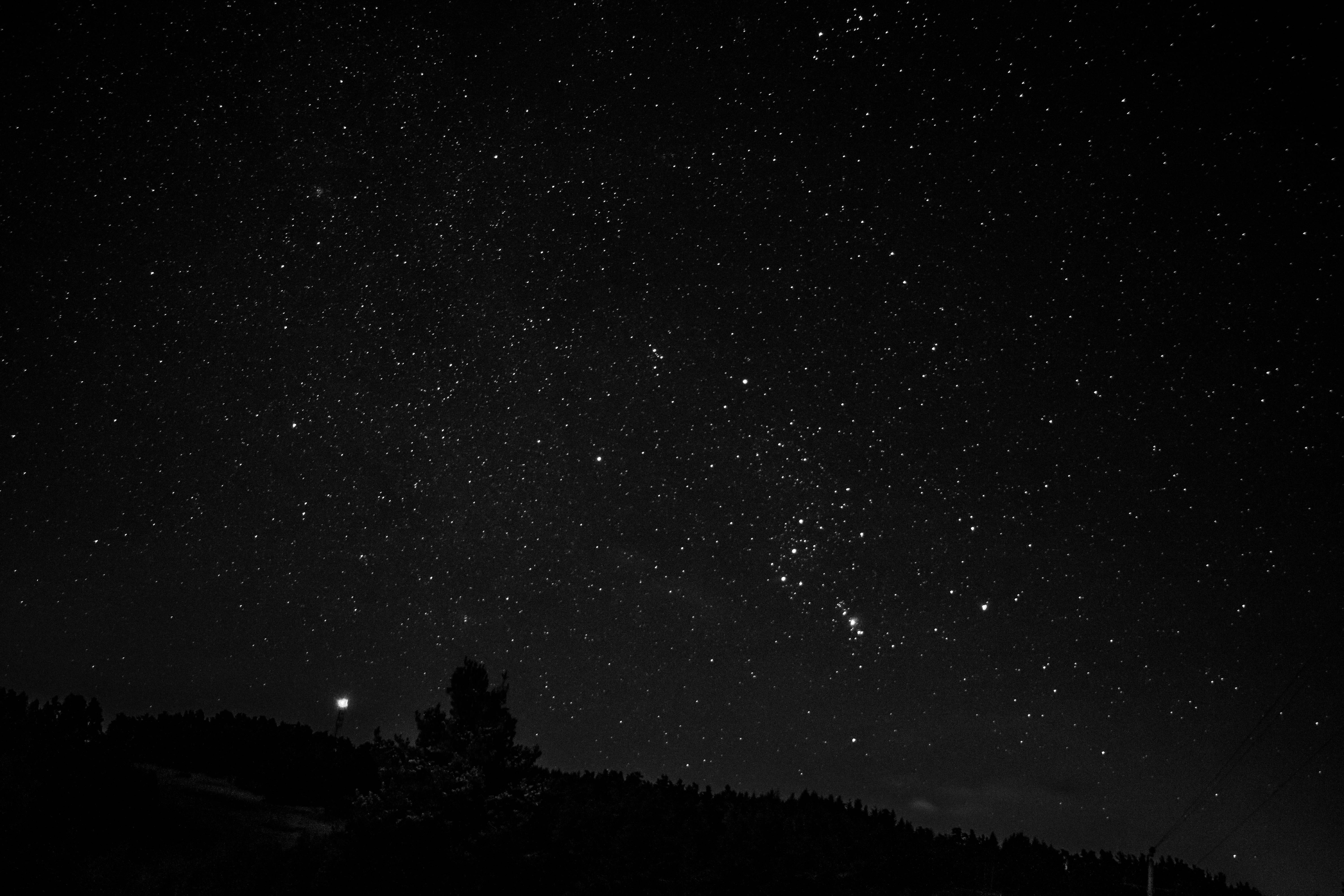 star - space, galaxy, low angle view, forest, javols, astrophoto, sky, astronomy, tranquil scene, nature, tree, tranquility, france, space and astronomy, HD Wallpaper
