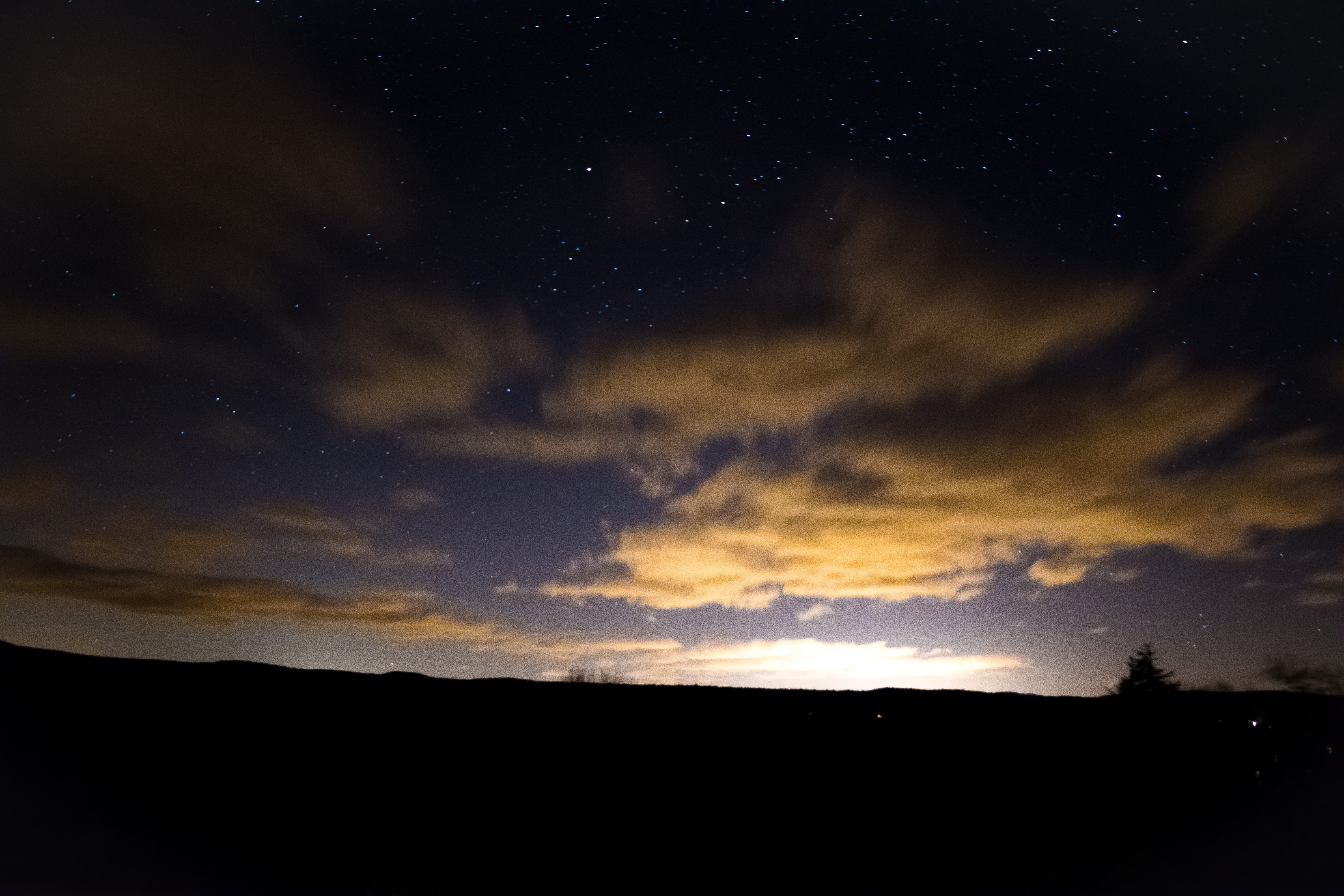 5K, star, outdoors, no people, photo, environment, france, star - space, trees, forest, astrophoto, idyllic, night, dark, awe, berrias-et-casteljau, tranquil scene, HD Wallpaper