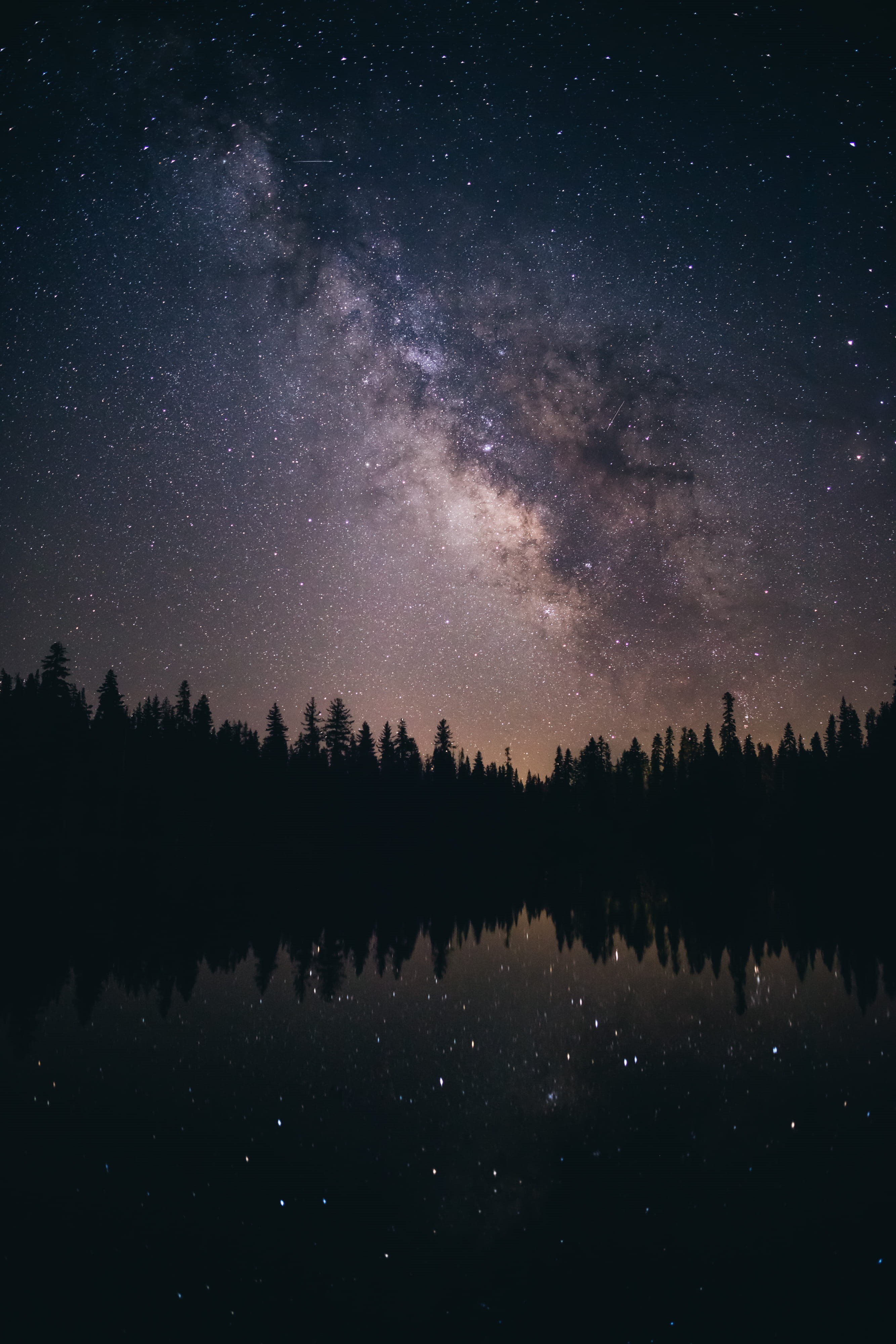 forest, night, star Field, solar System, astronomy Telescope, no People, black Color, purple, space, canada, light - Natural Phenomenon, science, cosmos Flower, Phone HD Wallpaper