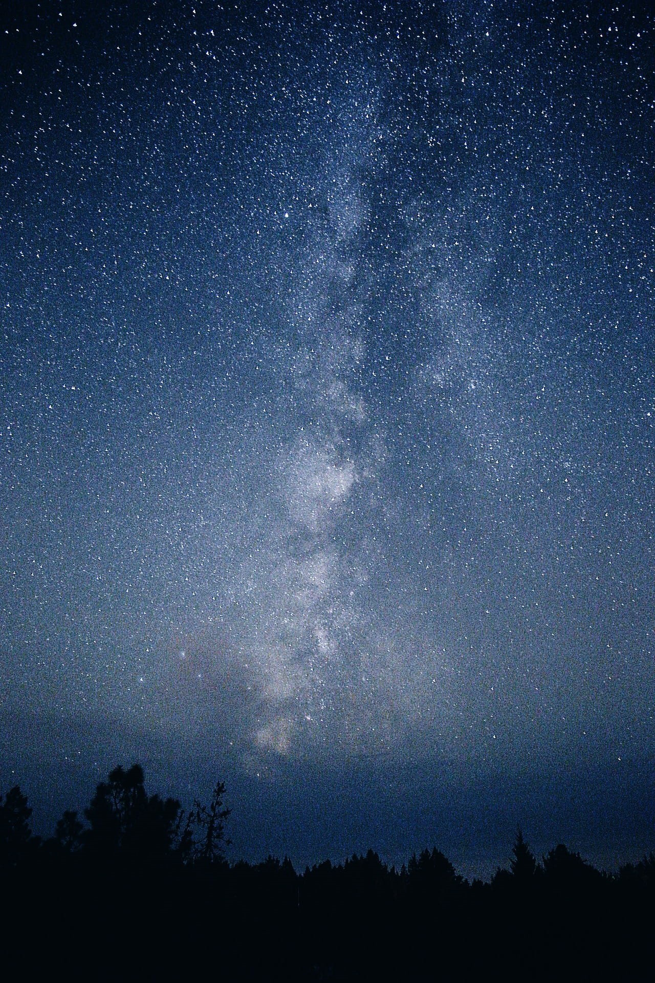 way, silhouette, gaze, galaxy, tree, united states, space, tranquility, idyllic, star field, 1080P, scenics - nature, nature, star, night, low angle view, Phone HD Wallpaper