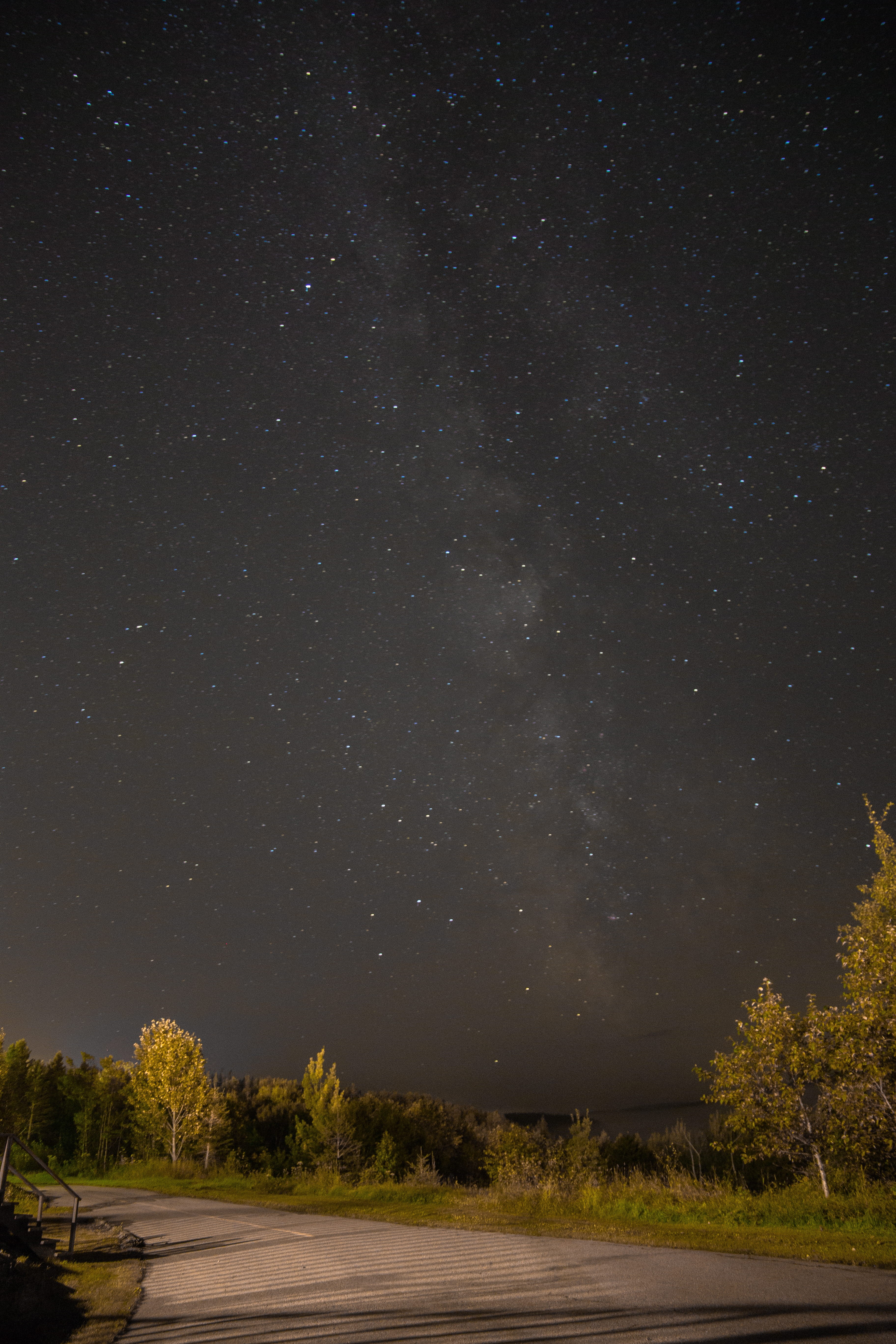 stargazing, black, tree, star field, no people, star - space, purple, infinity, milky way, beauty in nature, space, scenics - nature, quebec, astrophotography, Phone HD Wallpaper