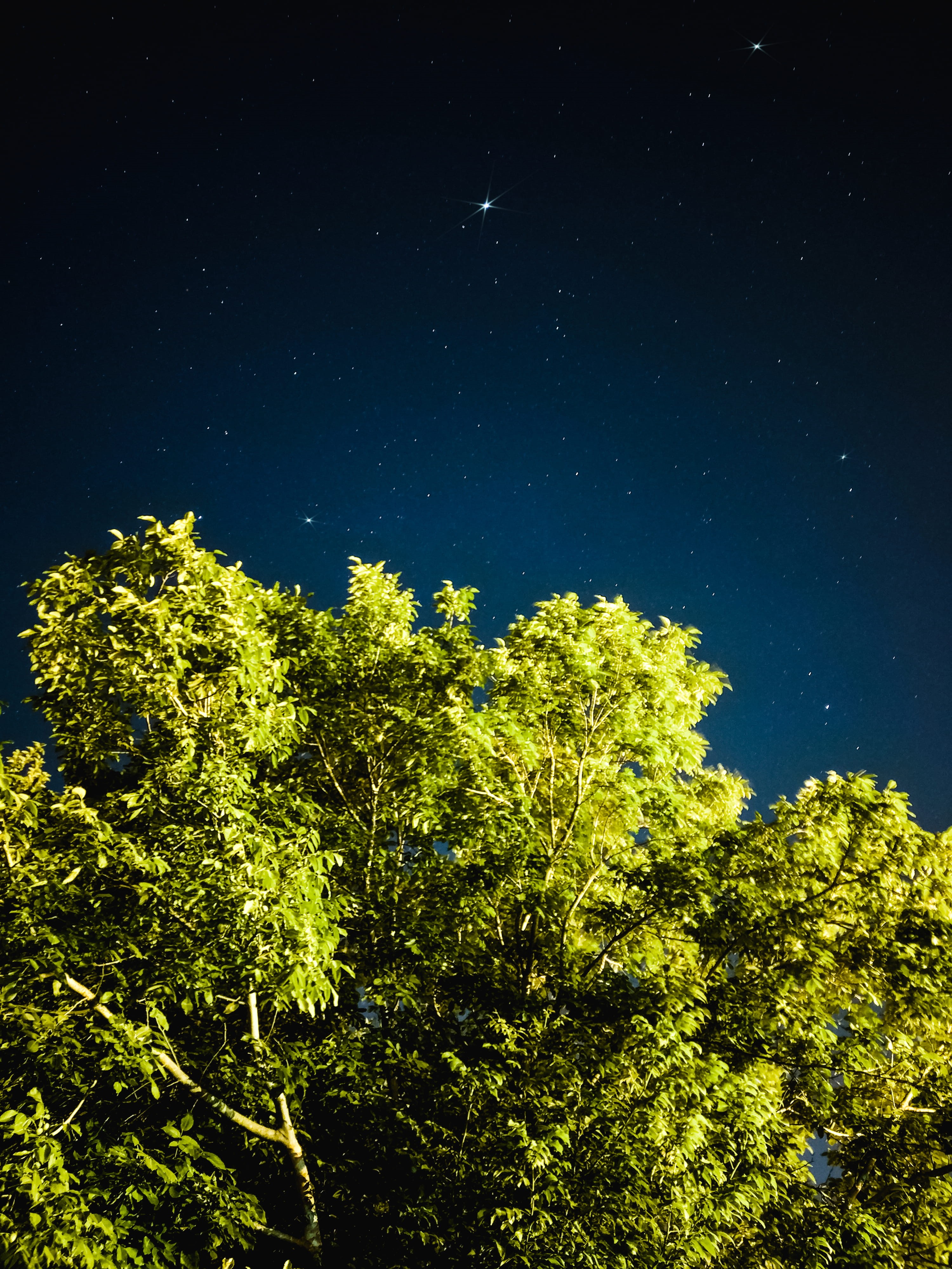 astronomy, space and astronomy, idyllic, 4K, blue, scenics - nature, star field, astrophotography, nature, mobile, plant, green, beauty in nature, stars, Phone HD Wallpaper