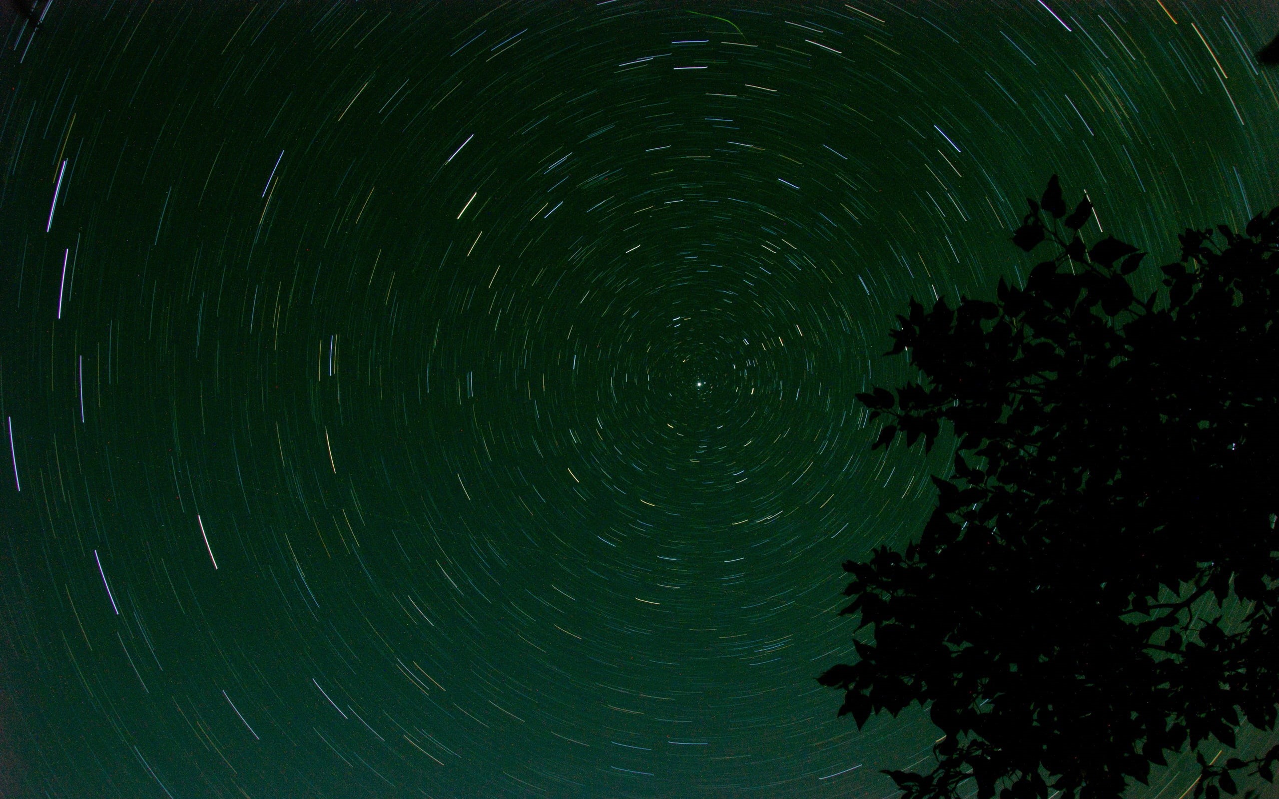 star gazing, starry sky, circle, stars, volume, tree, pattern, 2K, symmetry, green, nature, branch, night, HD Wallpaper