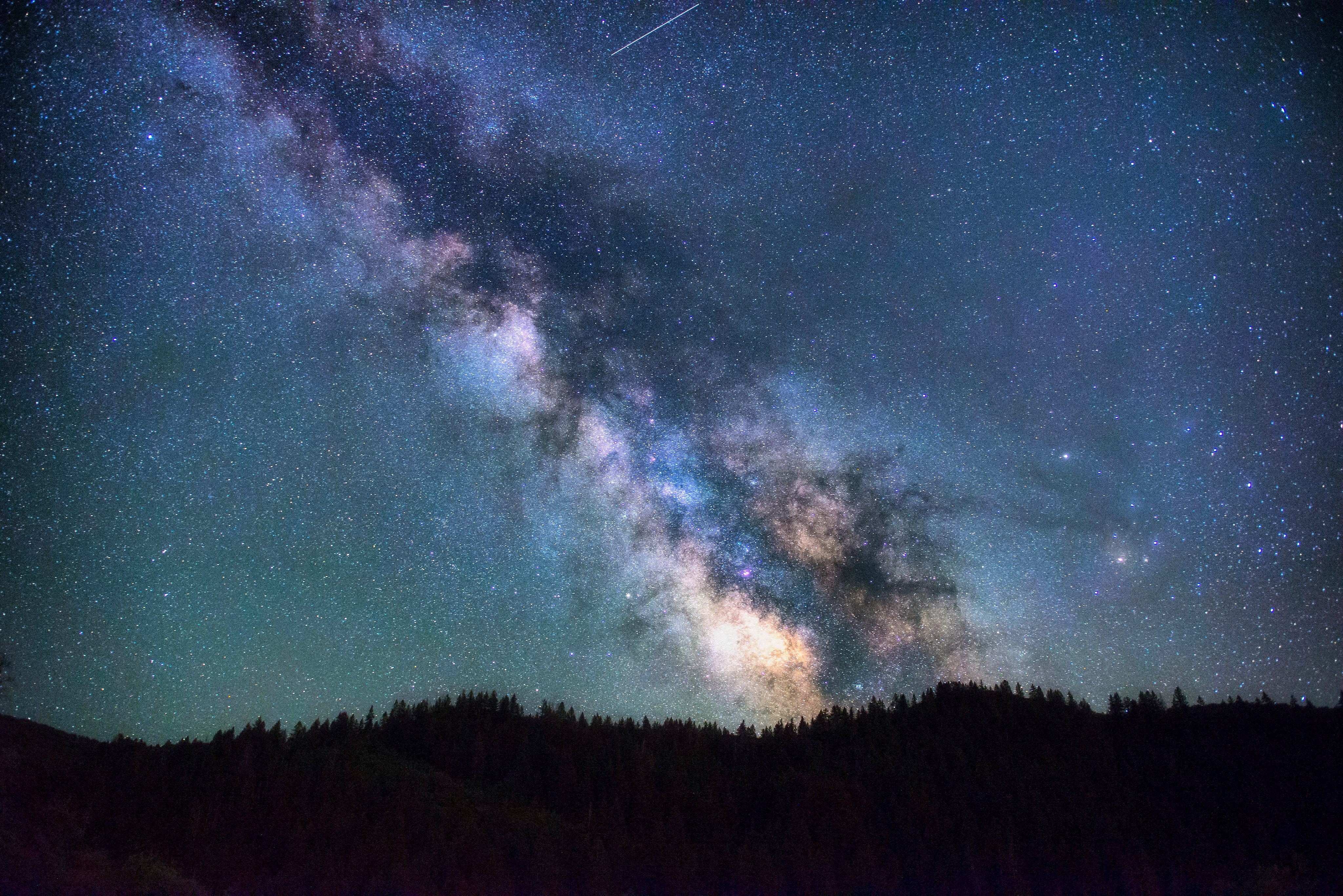 space, tree, stars, scenics - nature, dark, forest, gazing, landscape, majestic, 4K, astronomy, star - space, exploration, milky way, daylight, environment, HD Wallpaper