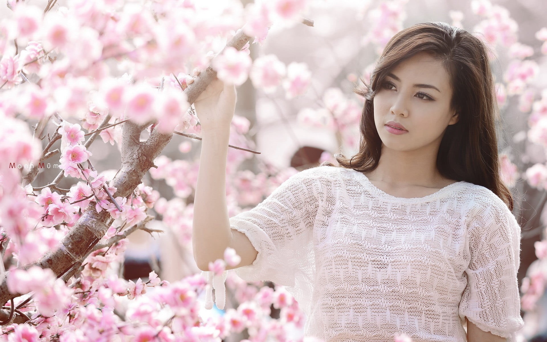 flowers, hair, Japanese women, front view, young adult, portrait, beautiful woman, 1080P, beauty in nature, flowering plant, flower, pink color, s, sweater, HD Wallpaper