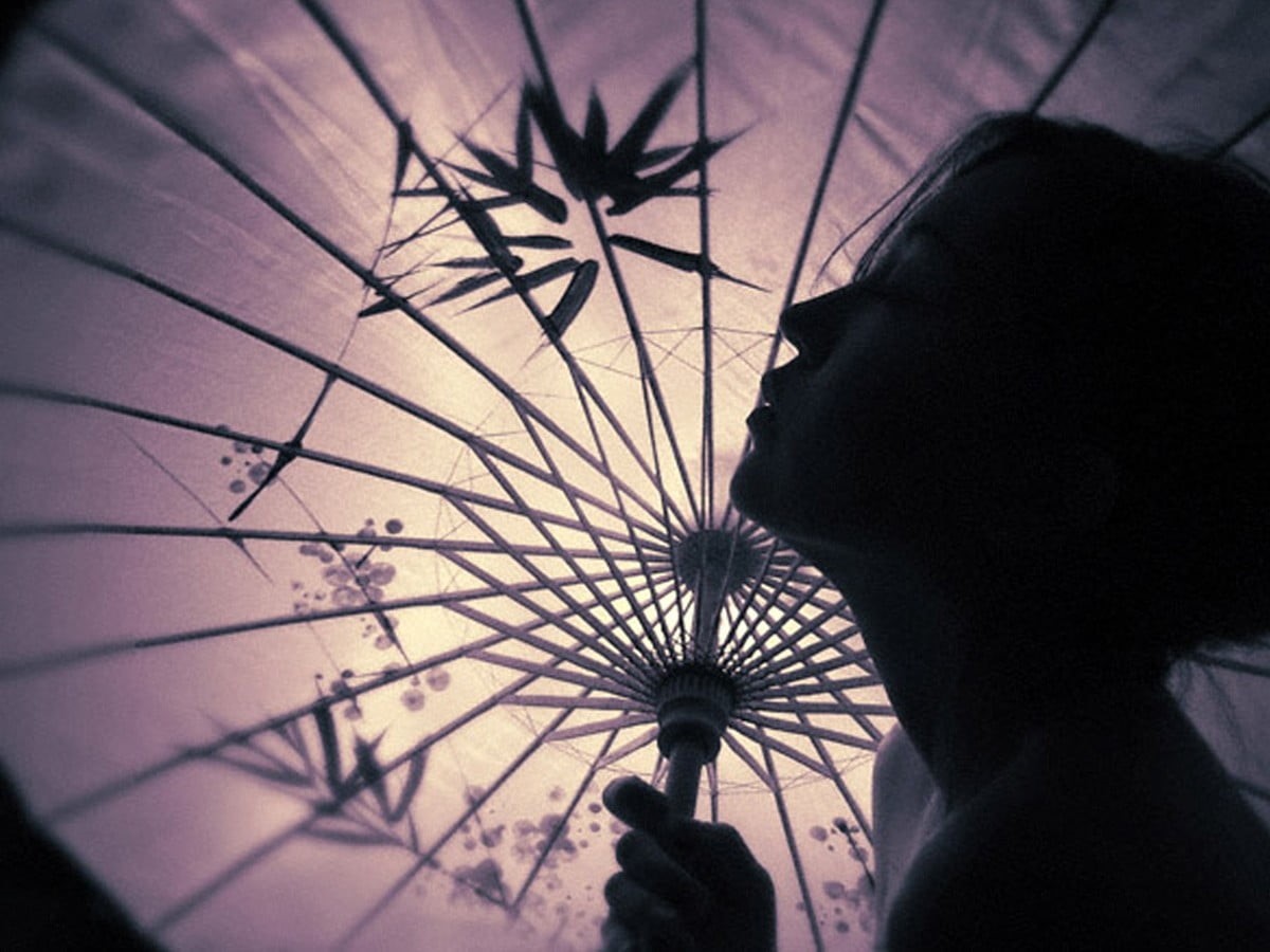 real people, 480P, umbrella, one person, nature, Asian, brown, architecture, headshot, flower, Japan, close-up, human body part, flowering plant, foliage, HD Wallpaper