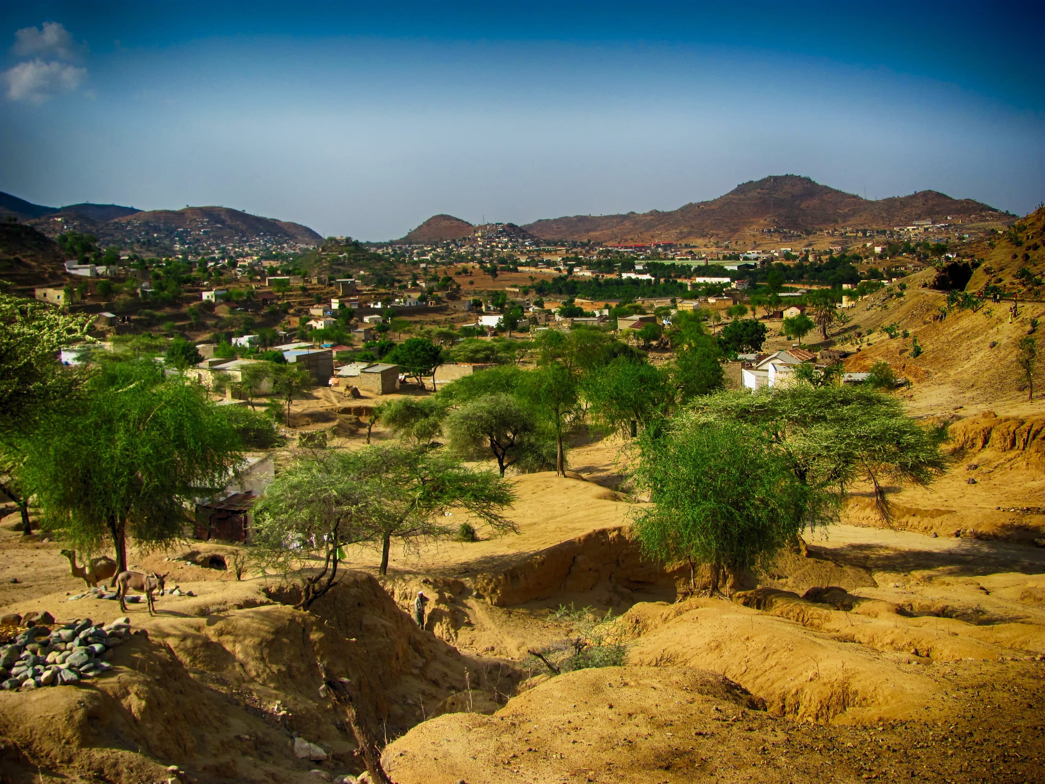 homes, desert, leafed, green, scenics, scenics - nature, environment, townscape, formation, hdr, clear, built structure, blue, building, climate, mountain, HD Wallpaper