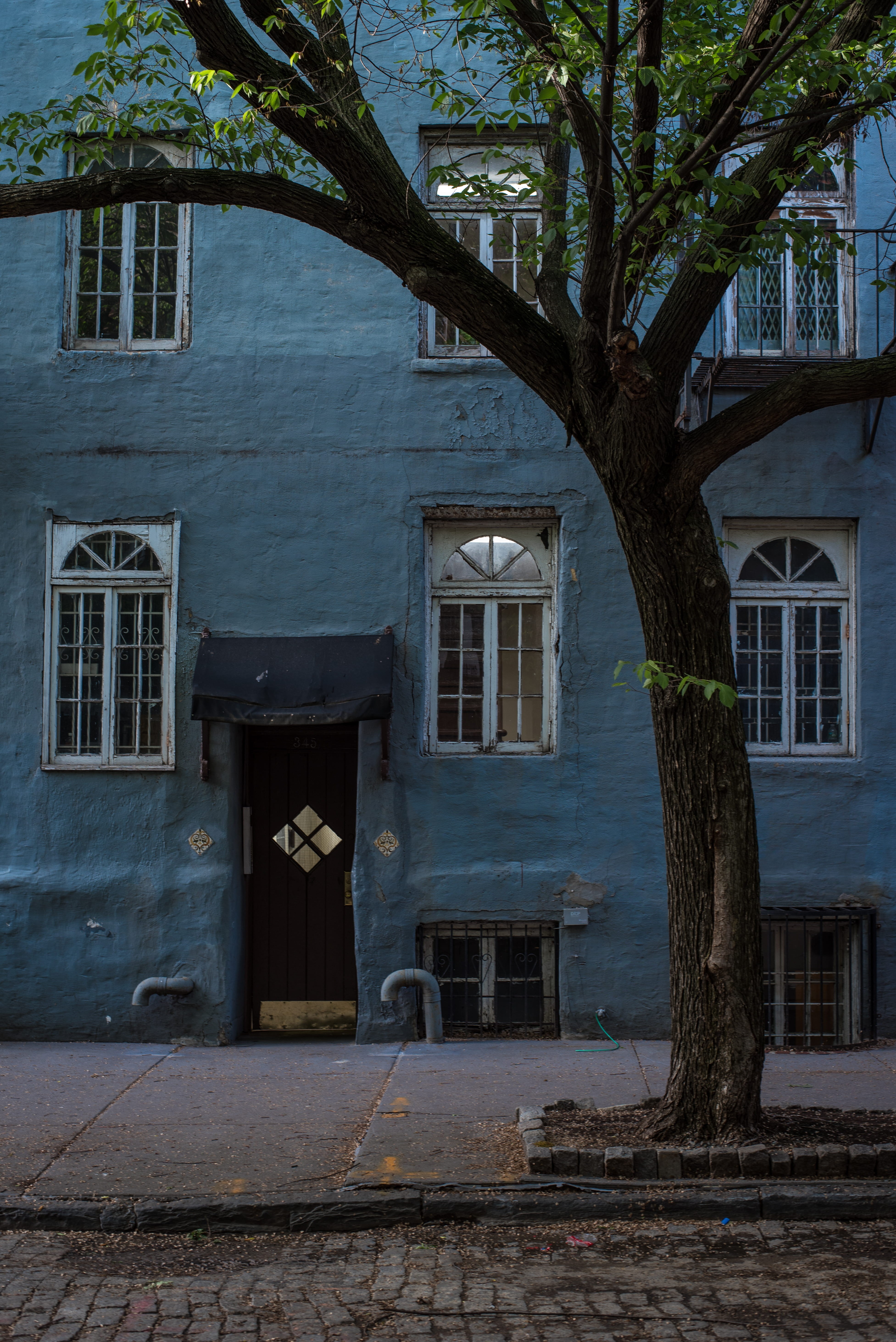 concrete, entrance, urban, built structure, building exterior, new york, blue, 5K, roadside, green, nyc, near, doorway, residential district, day, front, Phone HD Wallpaper