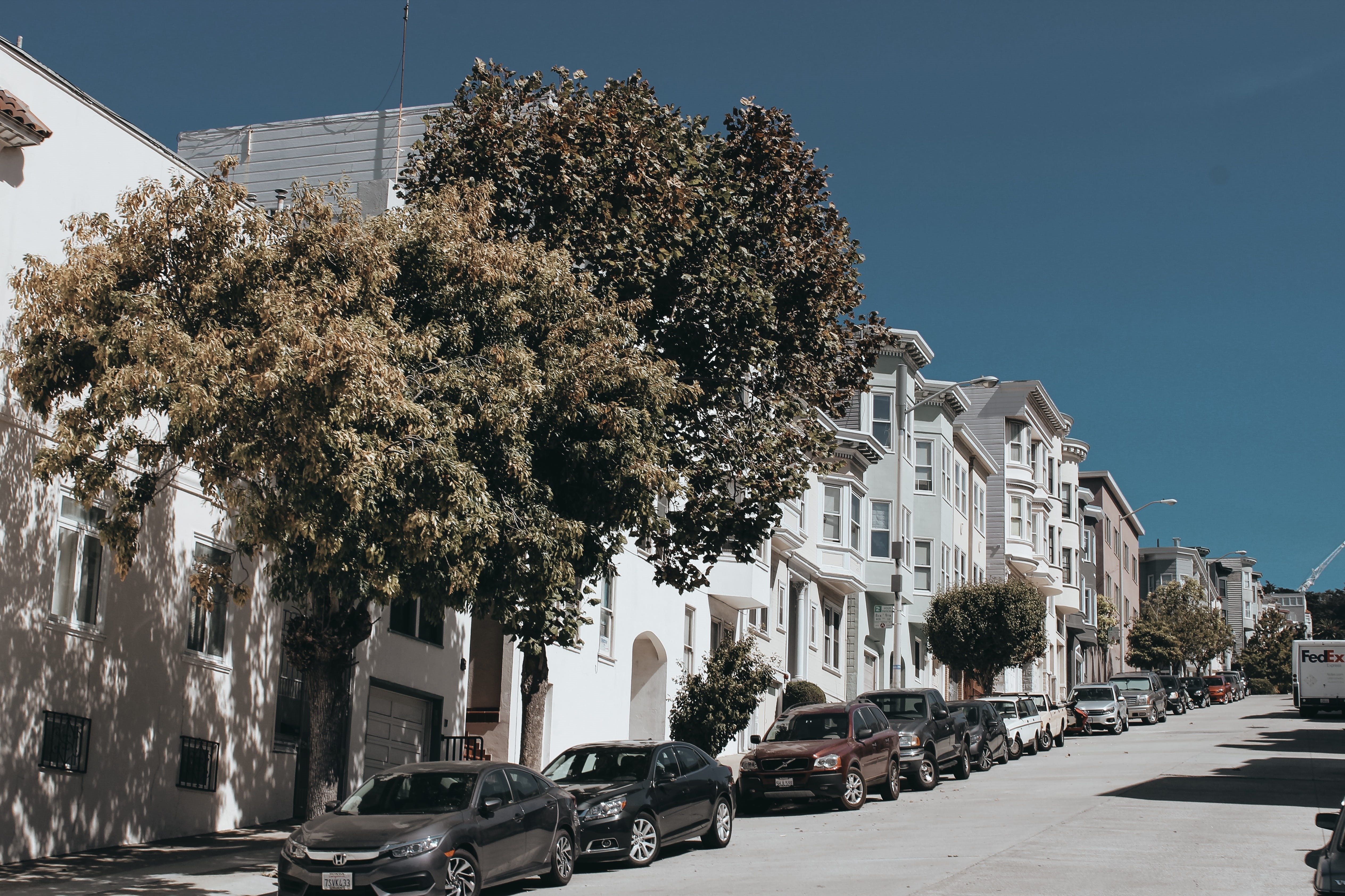 parked, urban, built structure, street, pavement, house, day, cars, green, transportation, vehicles, stationary, town, near, architecture, san francisco, HD Wallpaper