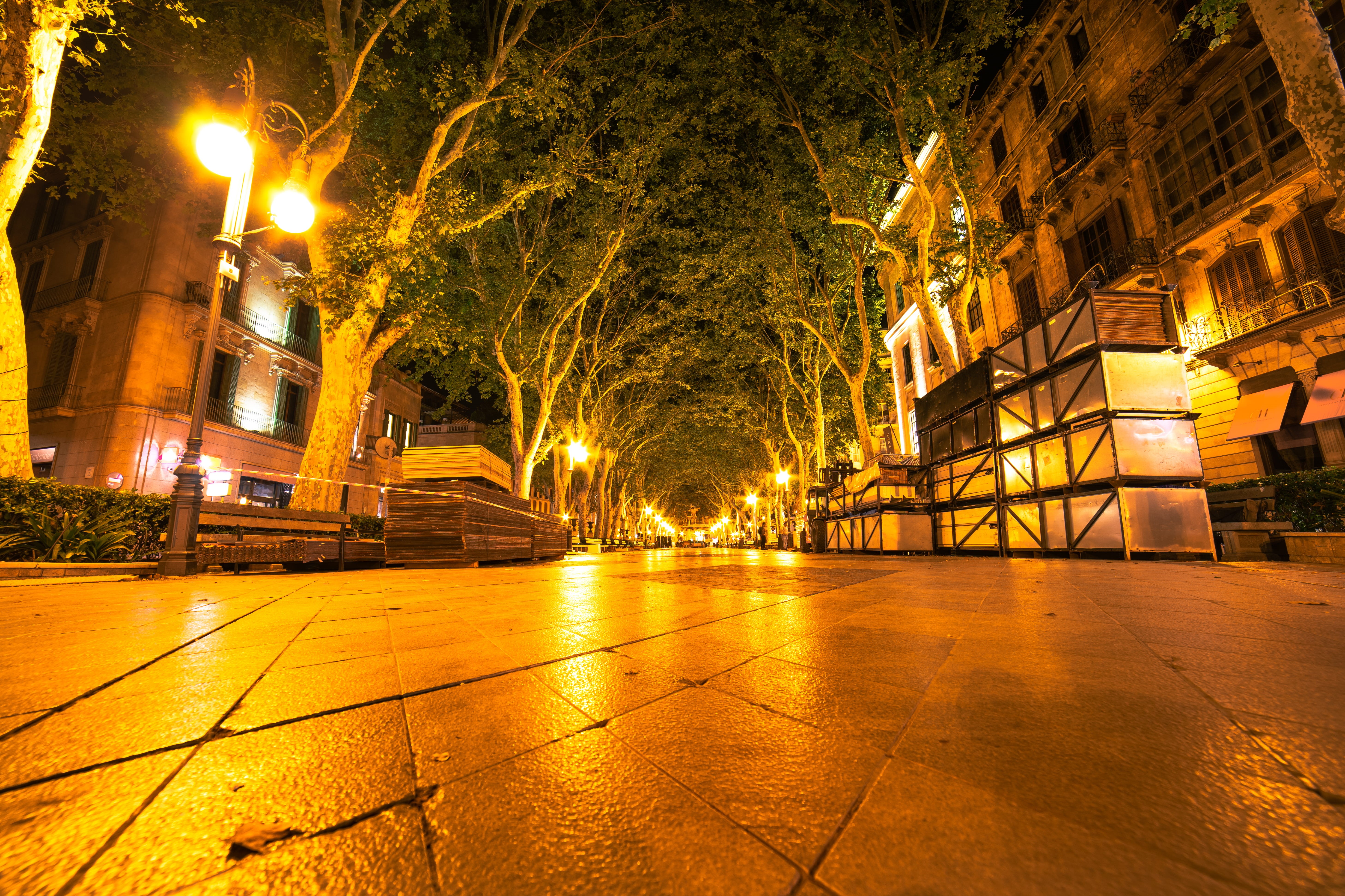 narrow, paved road, lamp posts, urban, night, evening, lights, town, the past, architectural column, building exterior, 5K, road, building, alley, built structure, HD Wallpaper