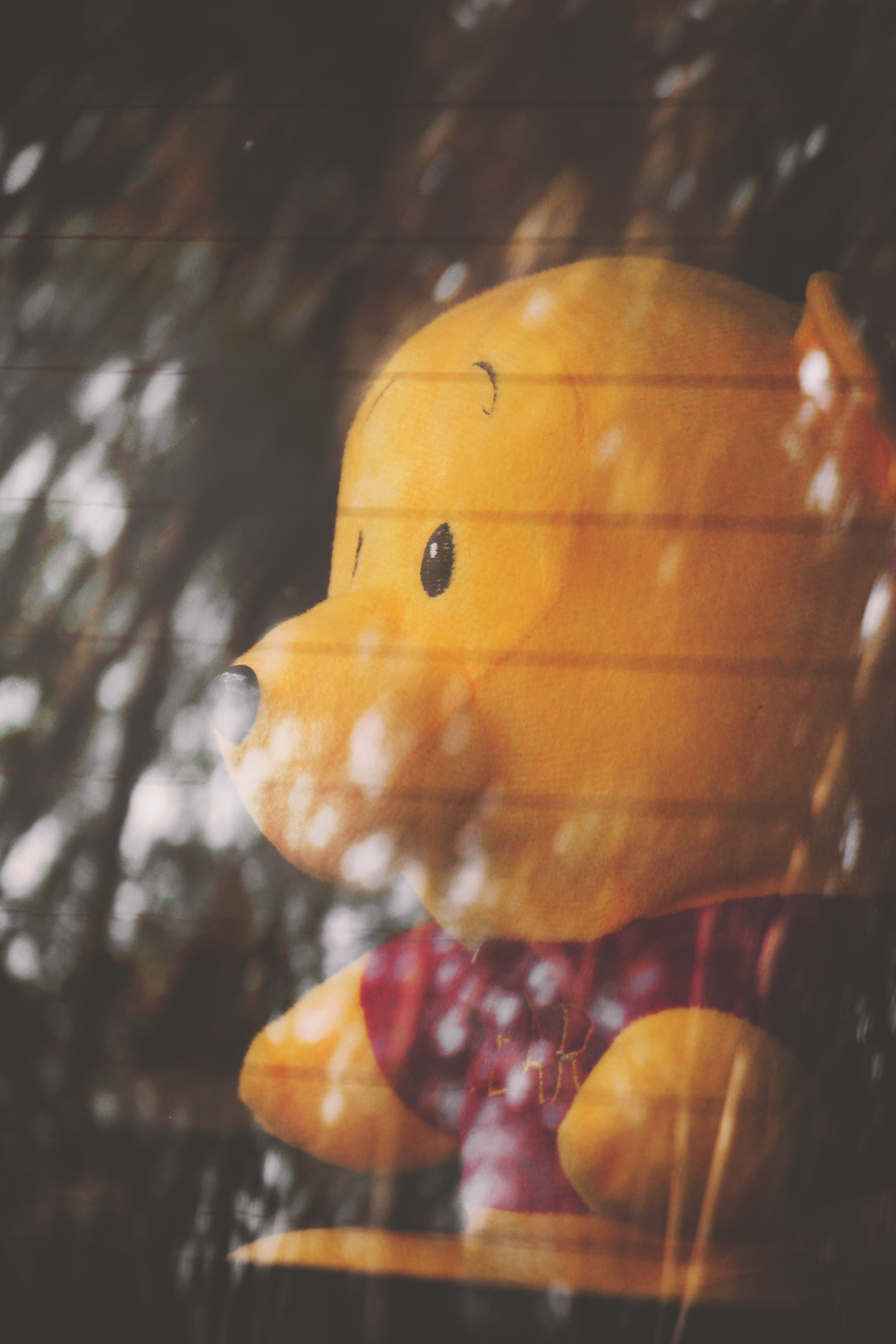 orange color, close-up, plush toy, pooh, yellow, teddy bear, no people, animal wildlife, tree, focus on foreground, representation, fruit, 5K, winnie, Phone HD Wallpaper