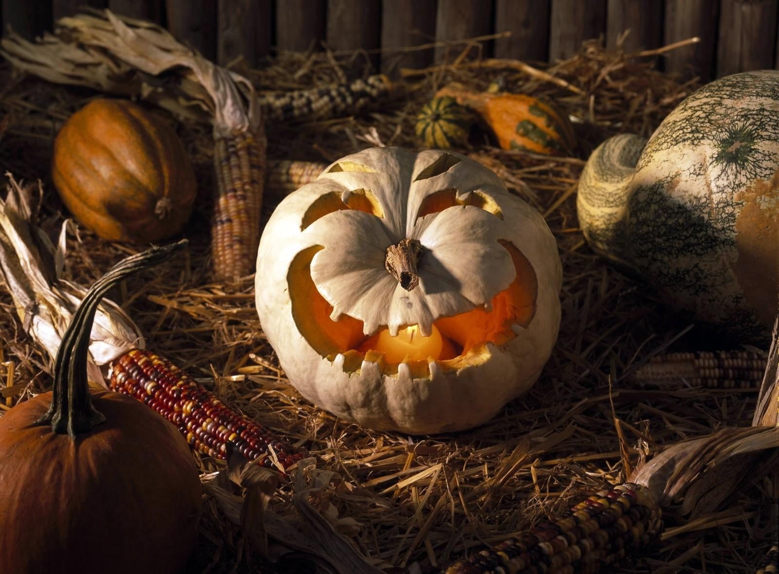 october, pumpkin, symbol, fruit, halloween, dark, day, season, 720P, o, candle, holiday, vegetable, decoration, leaf, rustic, food, nature, gourd, carving - Craft Product, HD Wallpaper