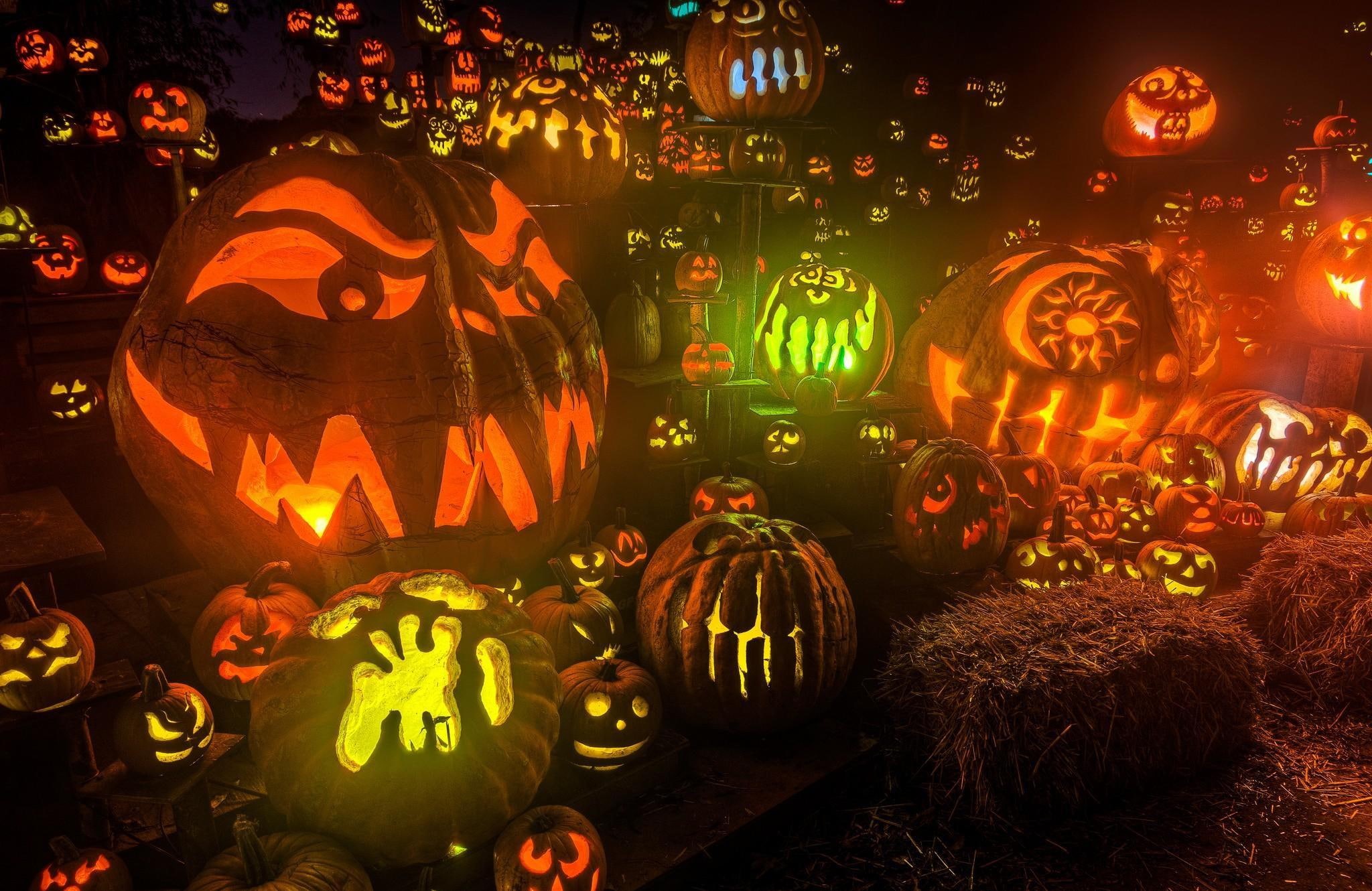 holiday, lights, lantern, pumpkin, hay, lot, jack, 1080P, set, halloween, o, HD Wallpaper