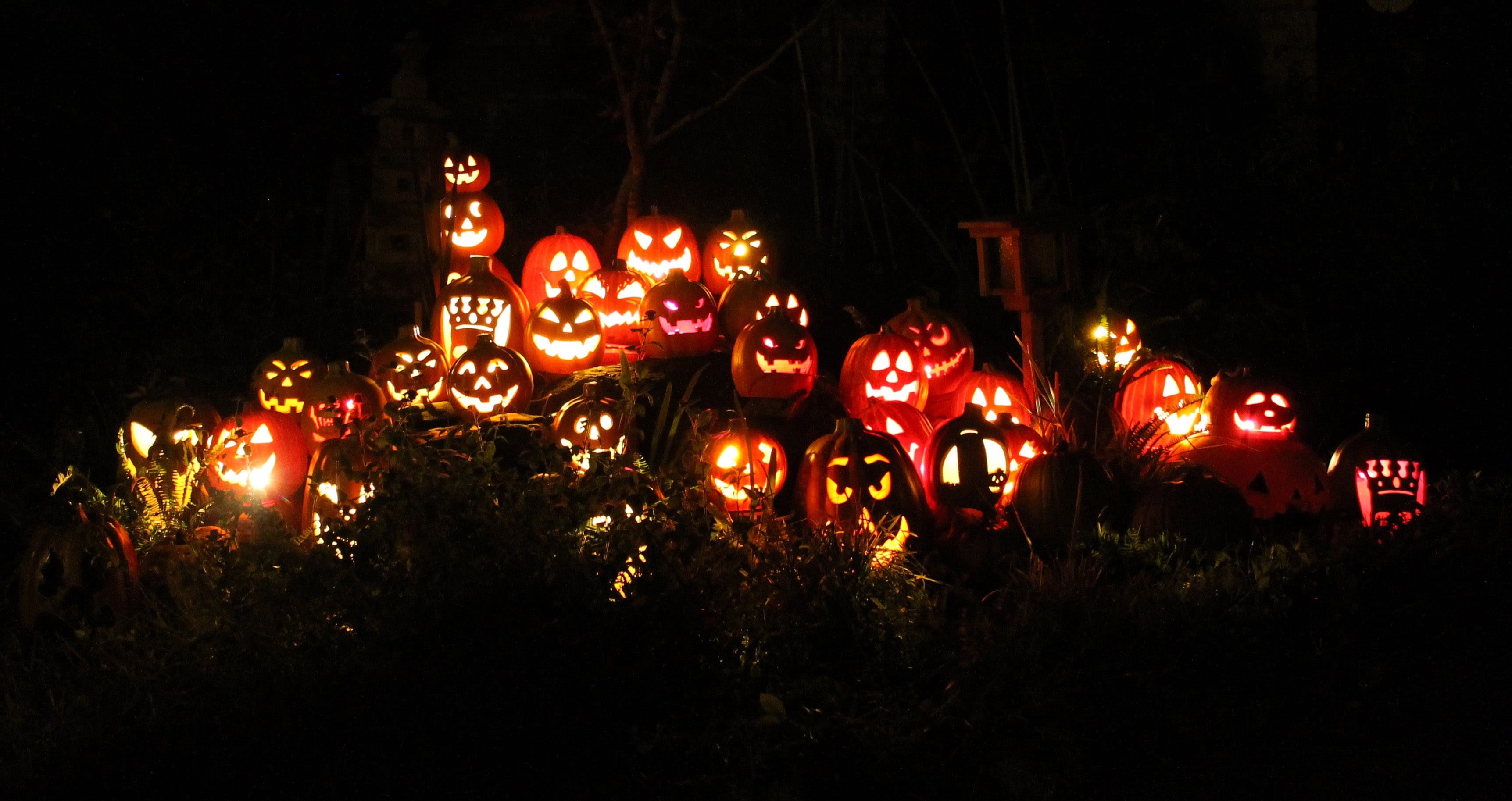 dark, spooky, tree, holiday, arts culture and entertainment, Jack-O-Lanterns, creativity, outdoors, led, o, representation, Pumpkins, illuminated, nature, HD Wallpaper