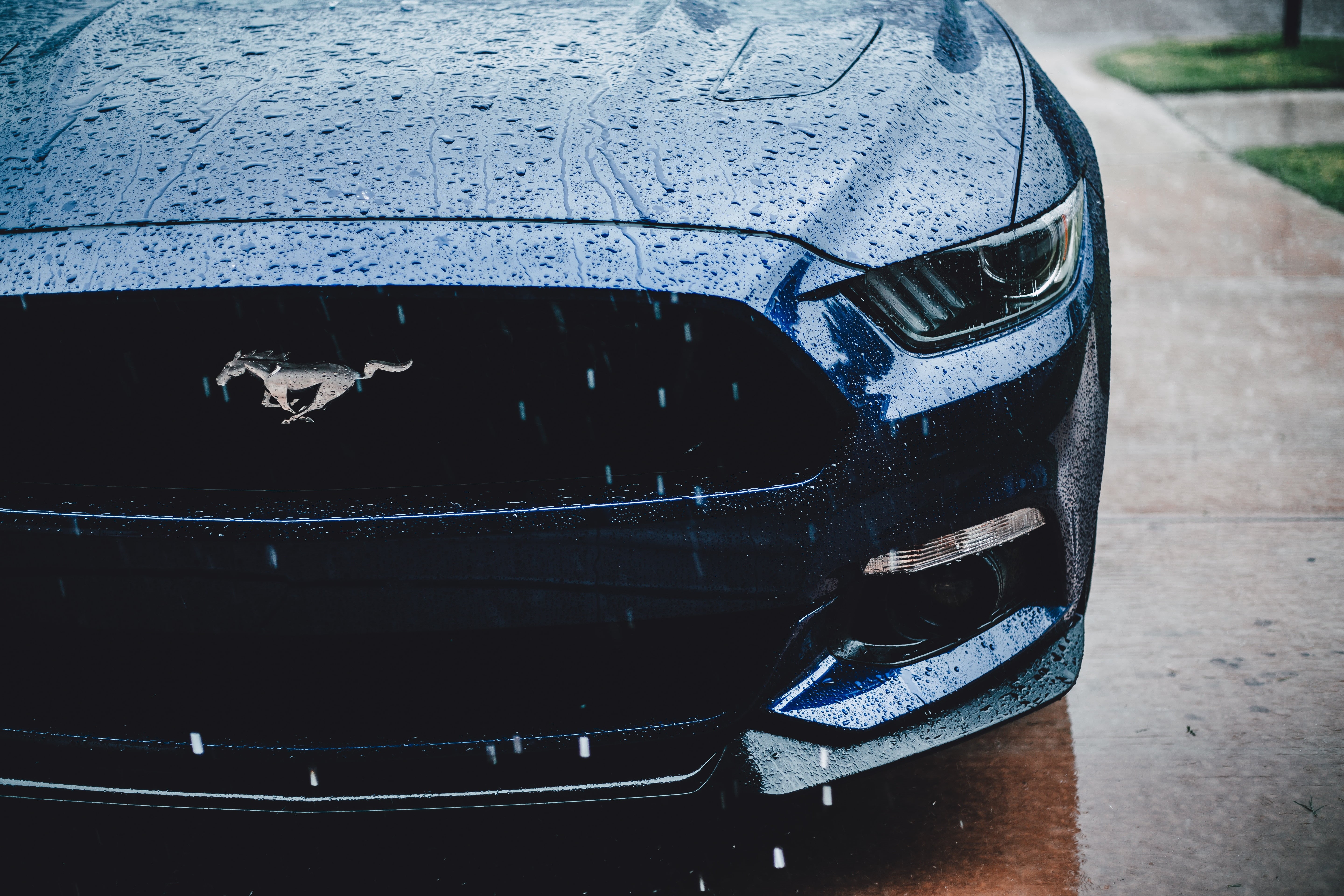water, front view, mustang, animal, traffic, no People, rain, speed, headlight, motor vehicle, road, close-up, mode of transportation, street, wheel, car, HD Wallpaper
